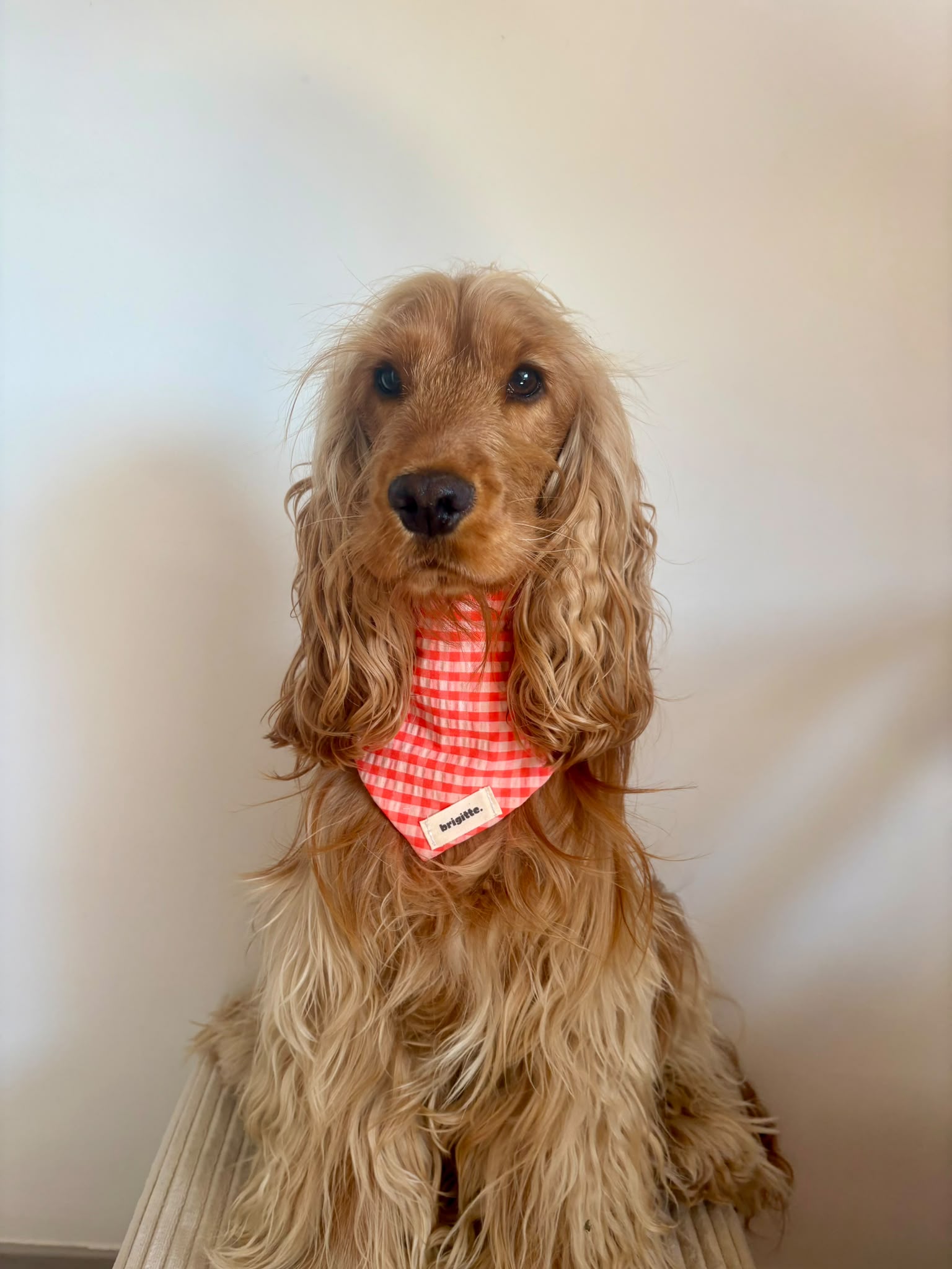 Bandana Pêche