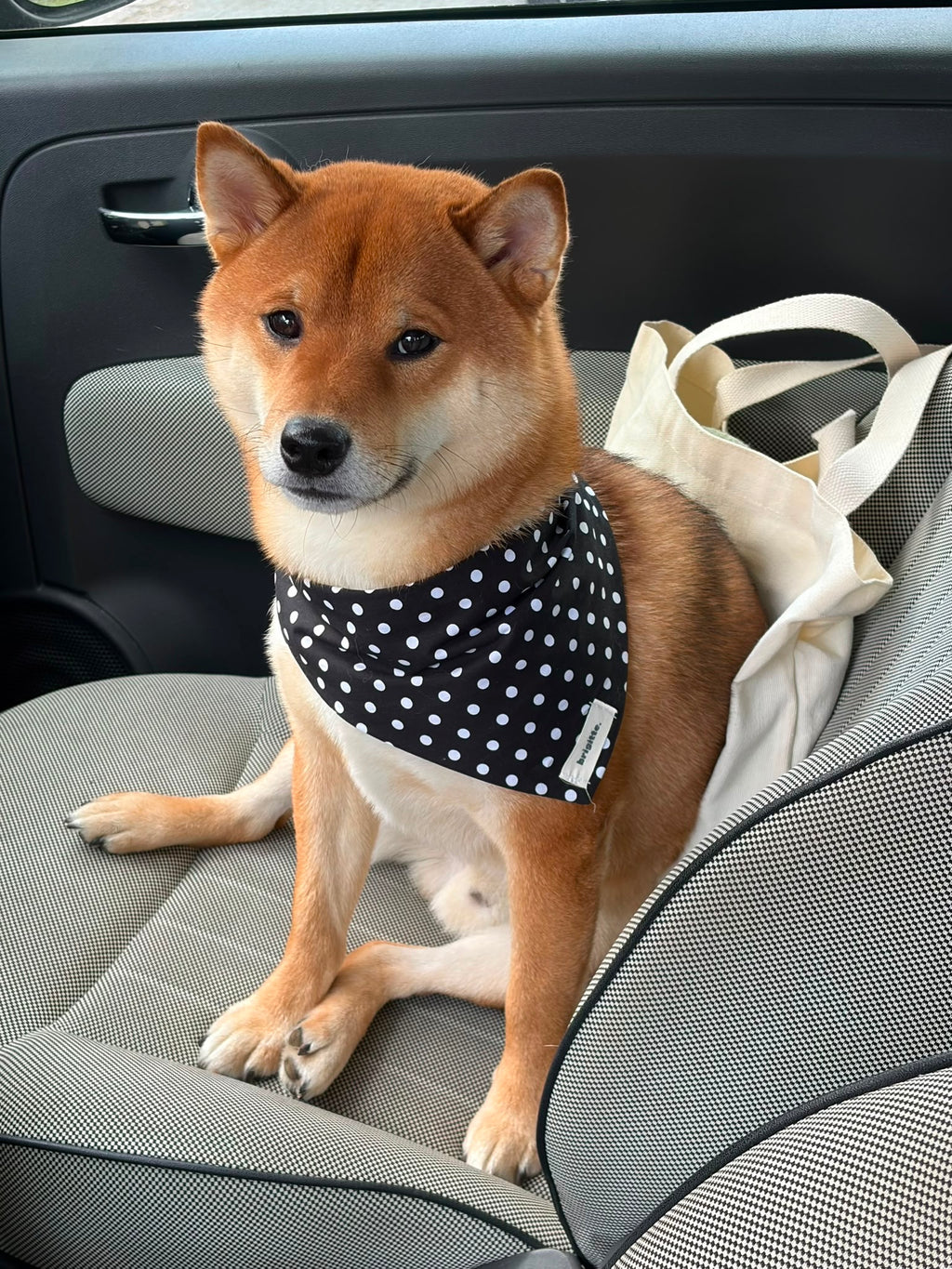 Bandana Pepper