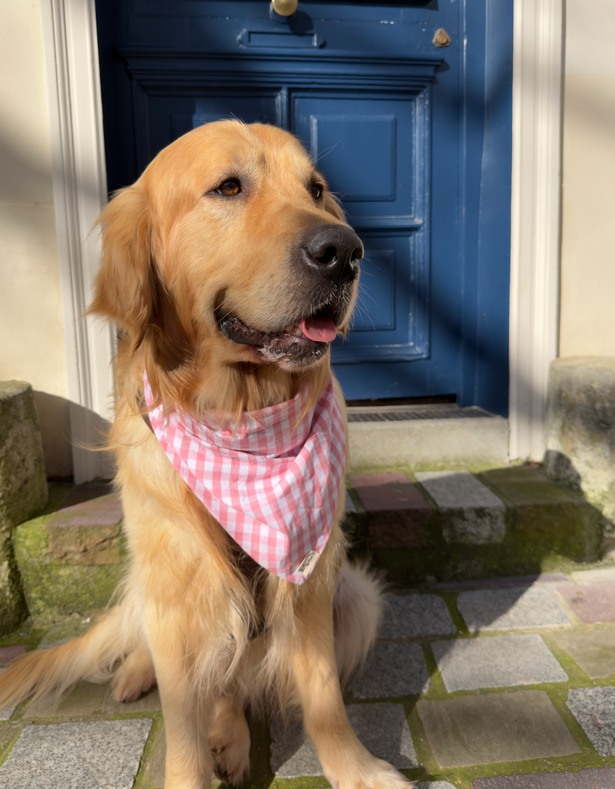 Bandana Isabelle