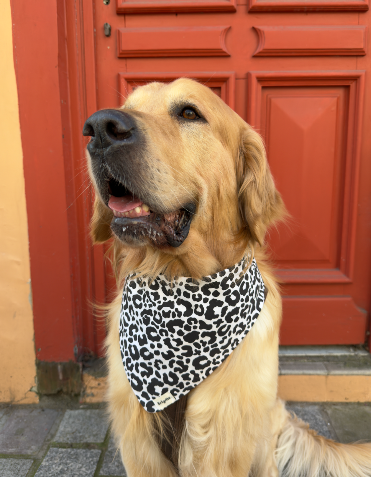 Bandana Violette