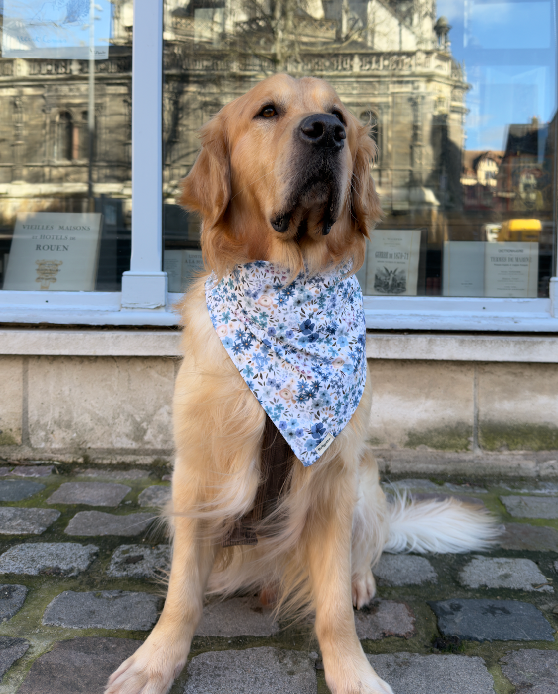 Bandana Pauline