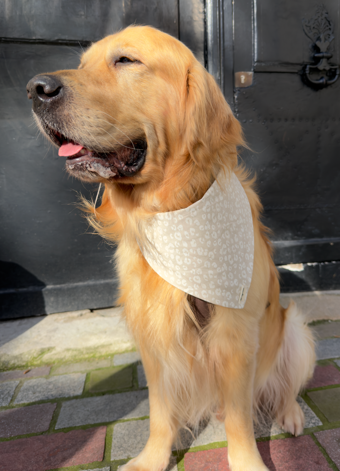 Bandana Marion