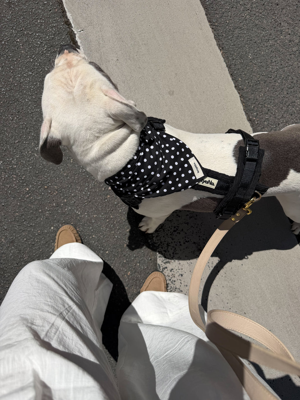 Matchy Pepper