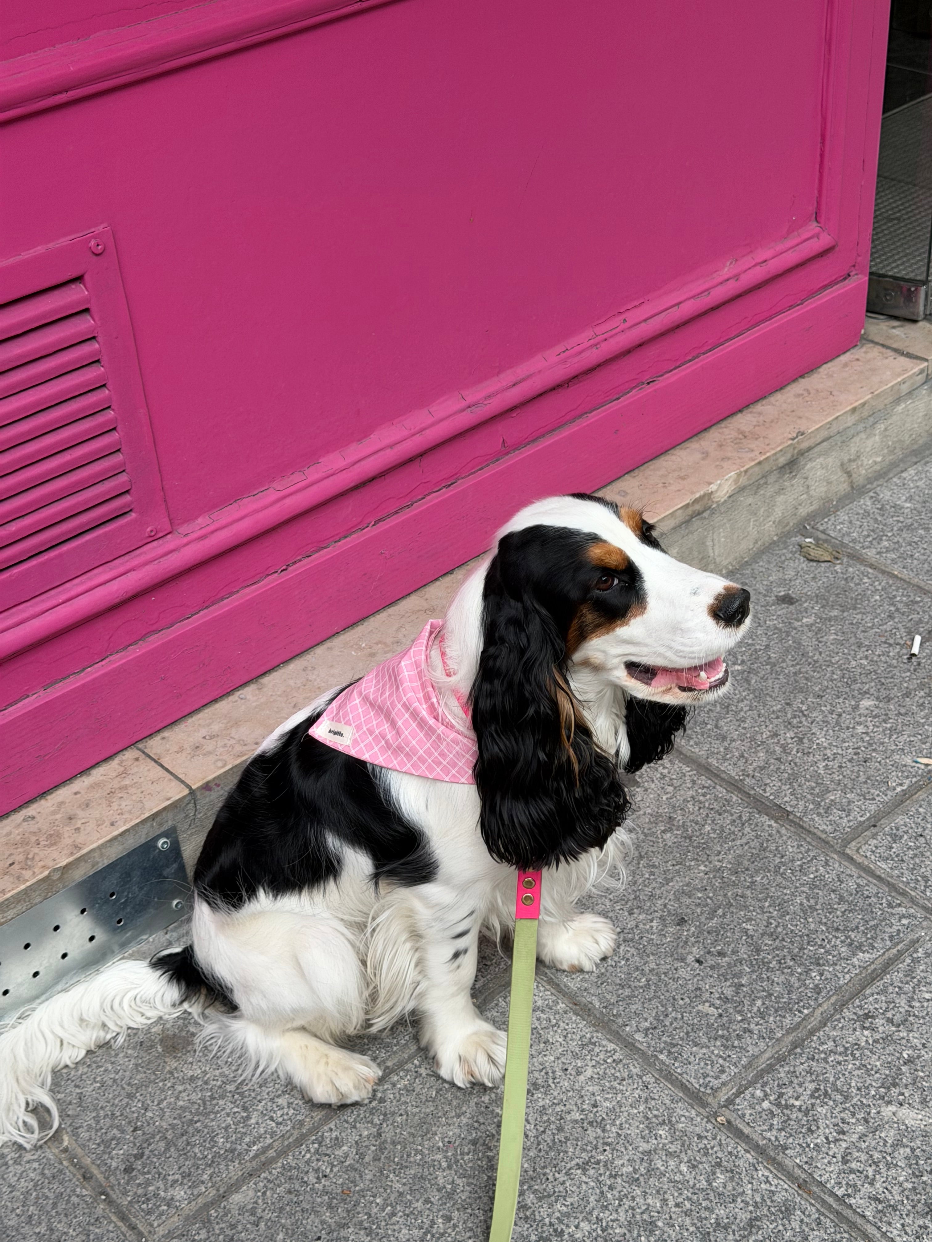 Bandana Rose