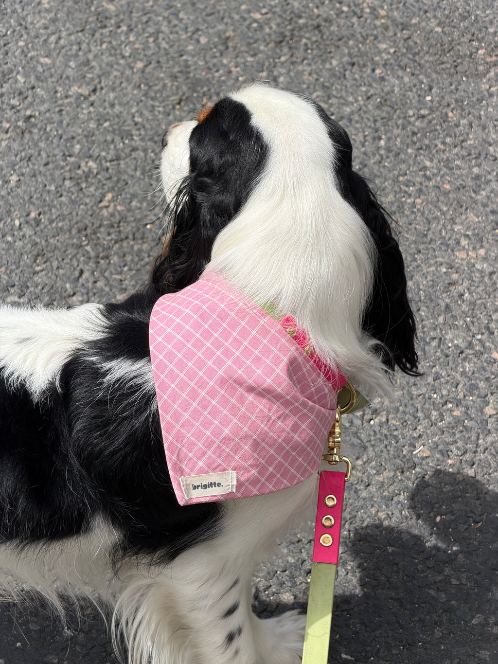Bandana Rose