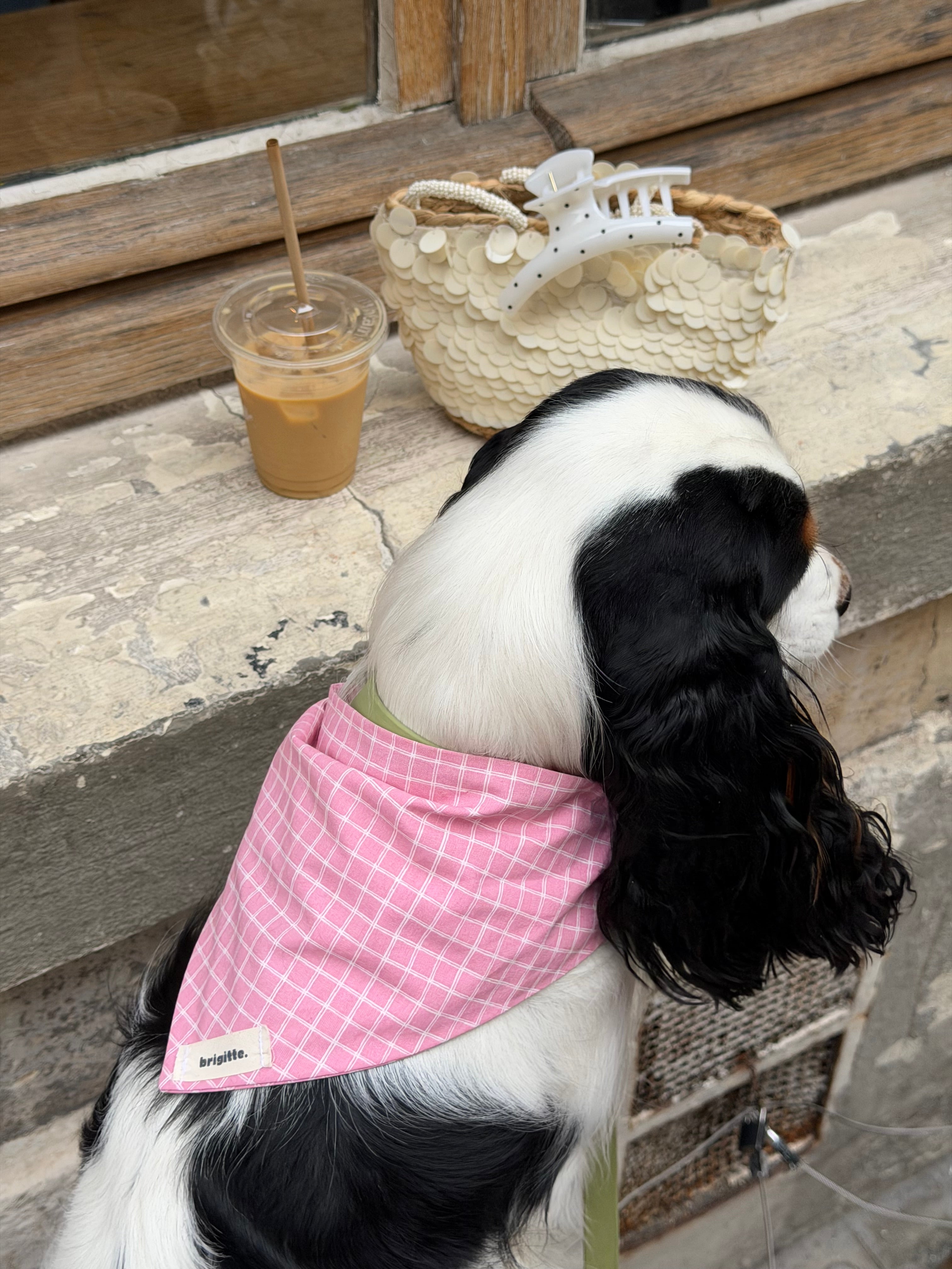 Matchy Rose