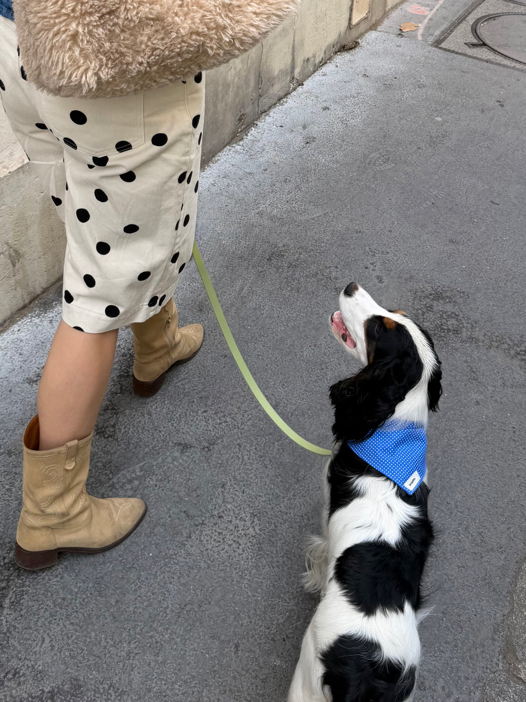 Matchy Iris