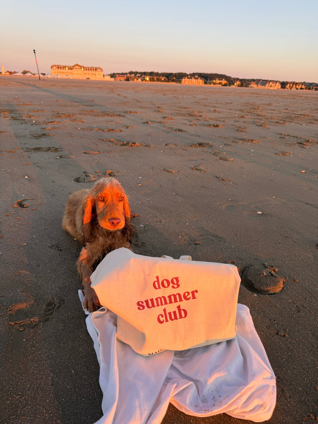 Tote Bag Dog Summer Club