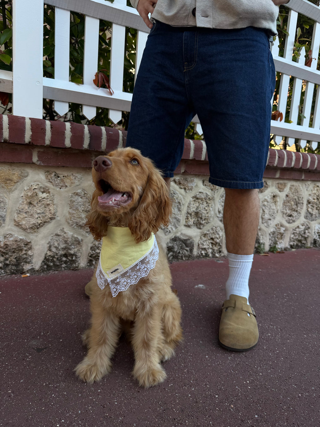 Bandana Bridgerton