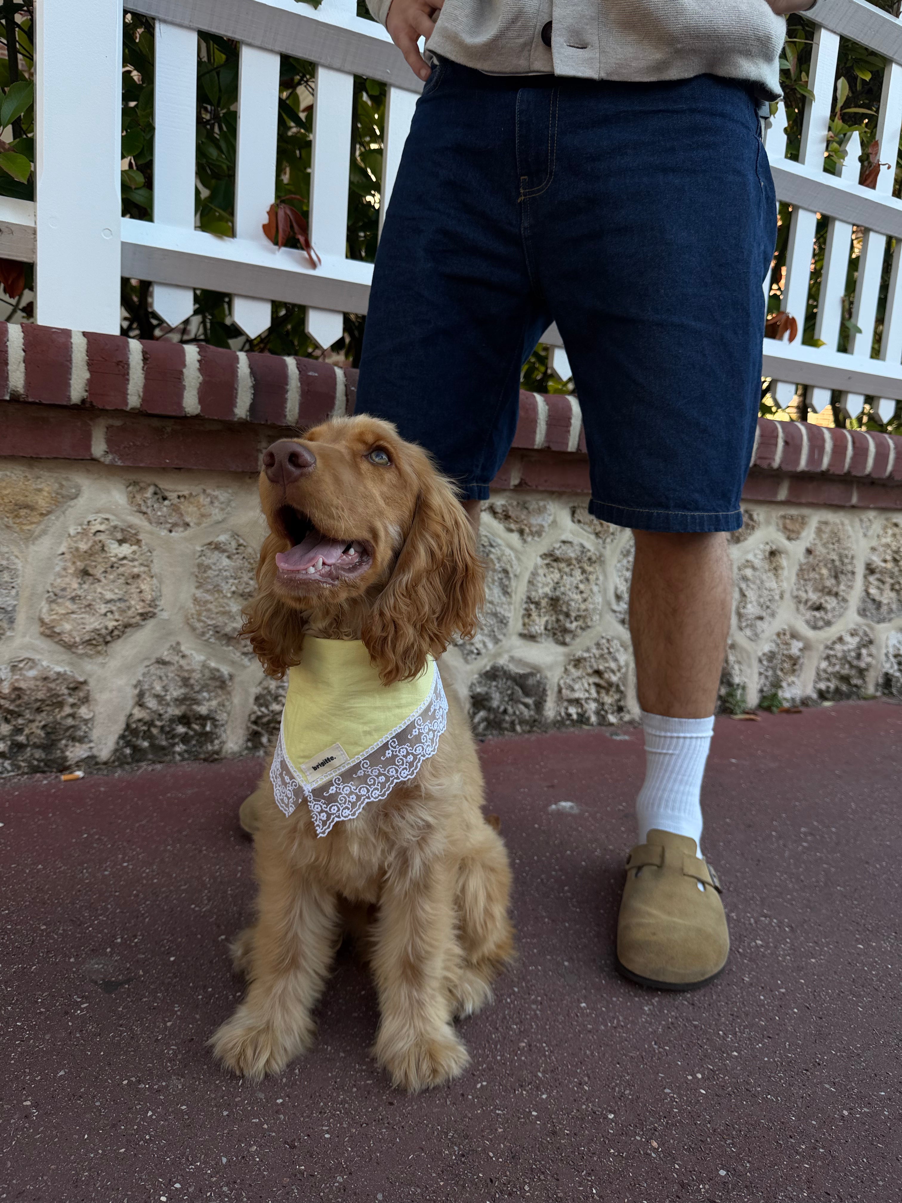 Bandana Bridgerton