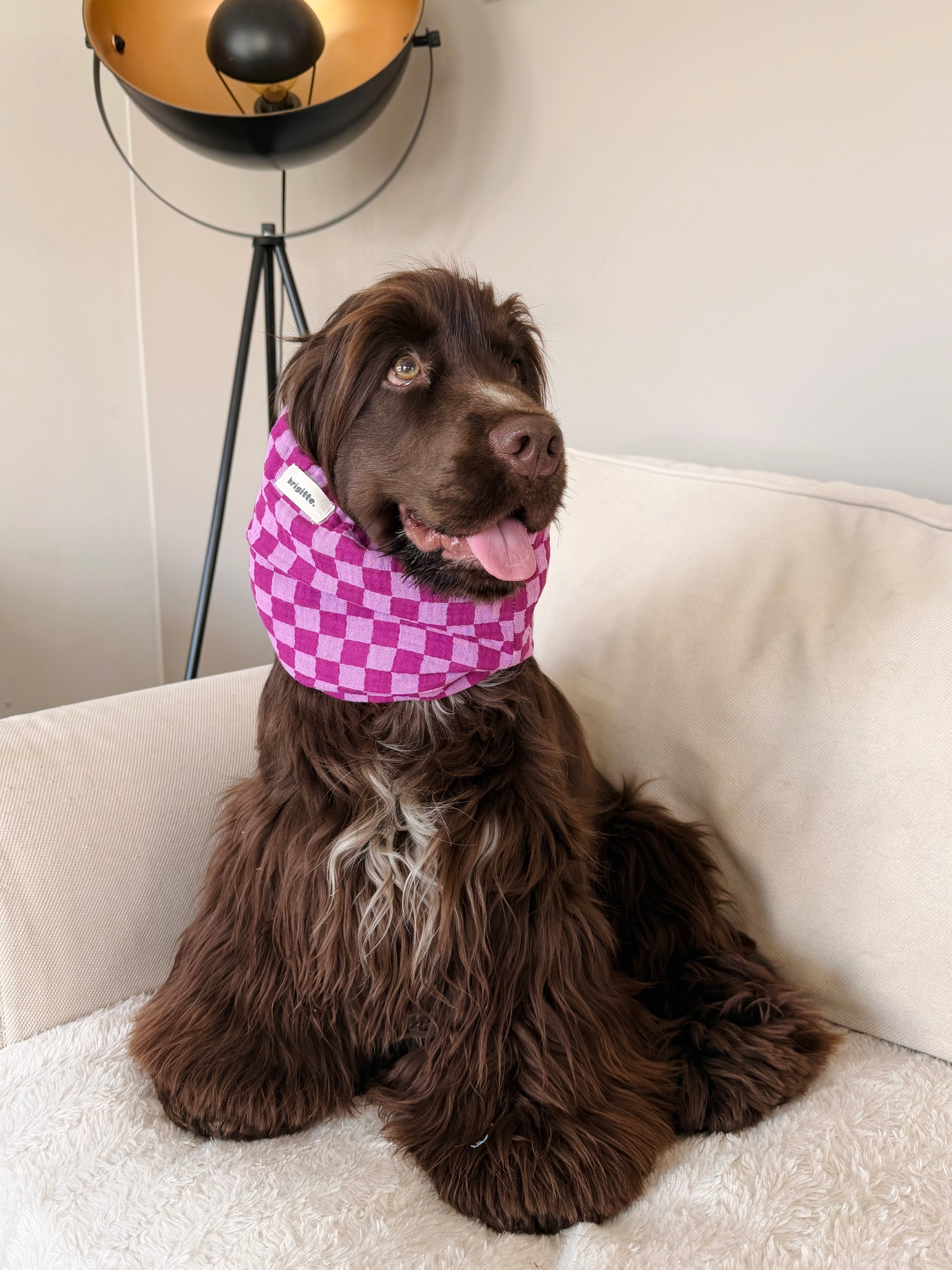 Snood Fuchsia
