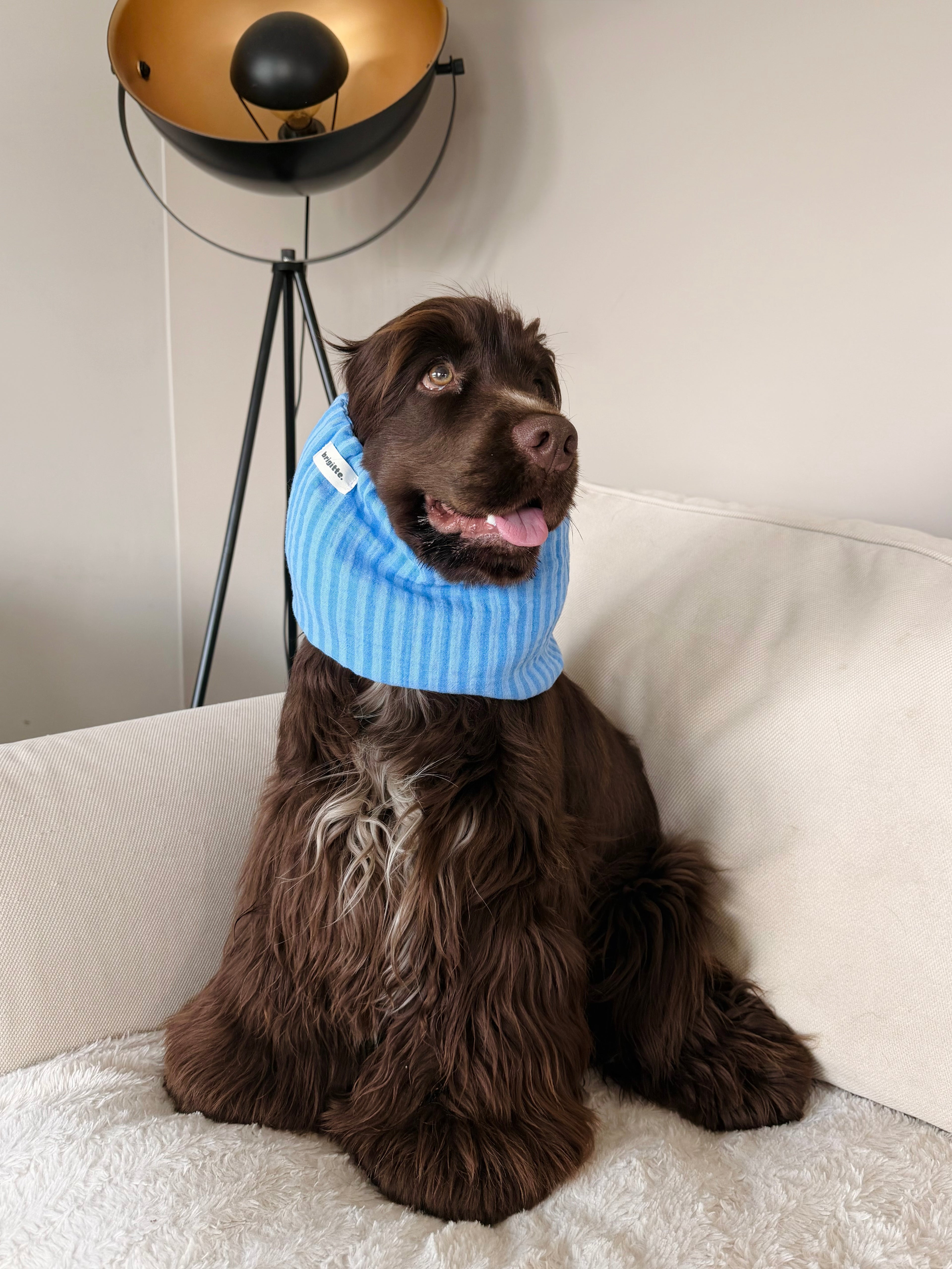 Snood Blue