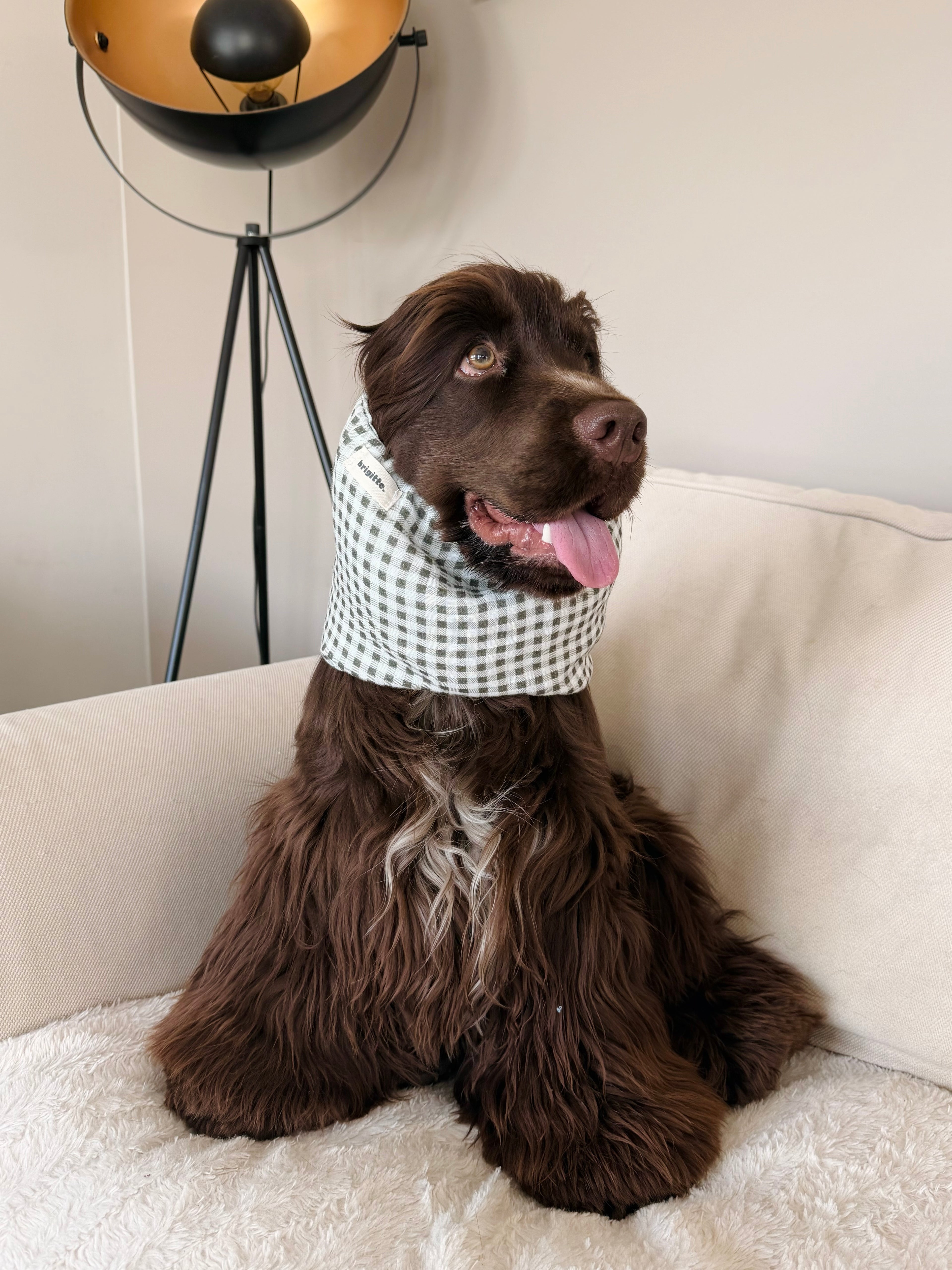Snood Vichy