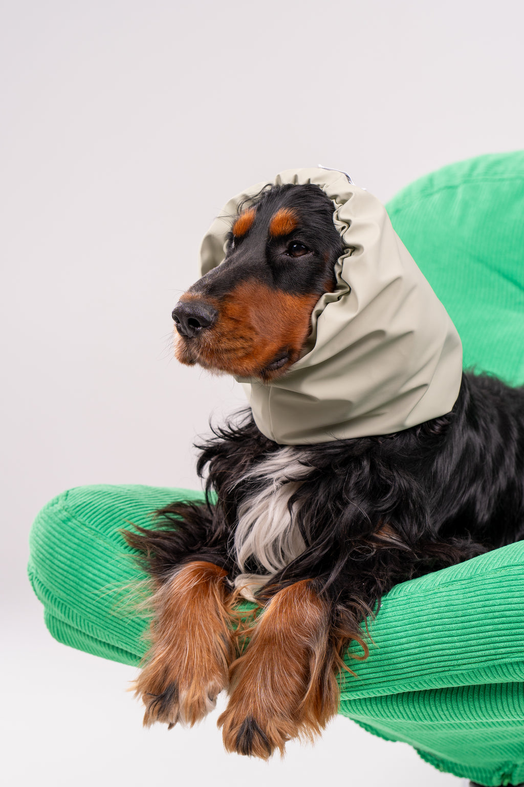 Snood Sauge