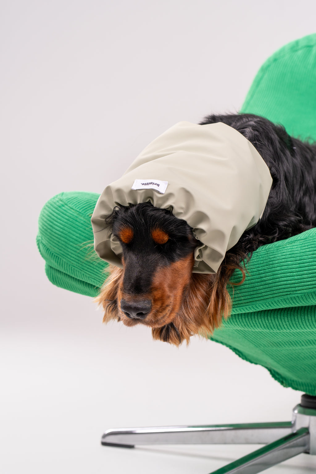 Snood Sauge