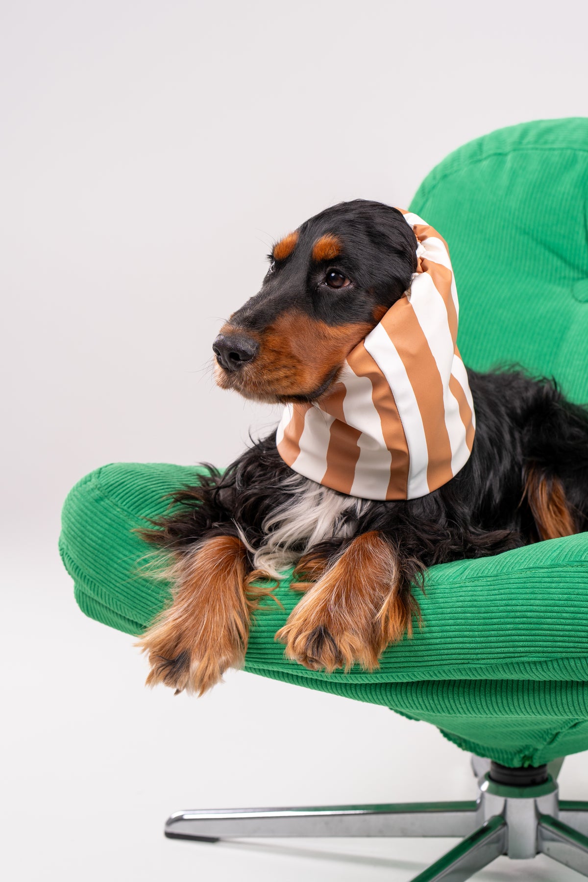 Snood Nougat