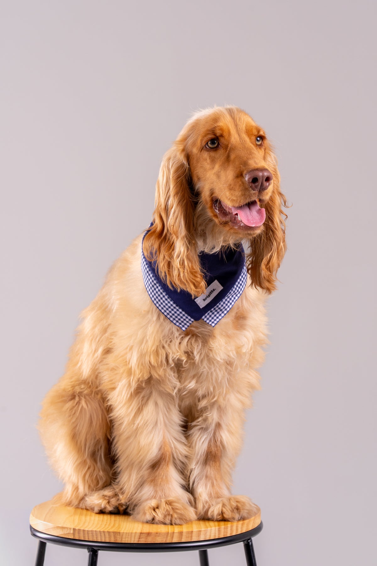 Bandana Saphir