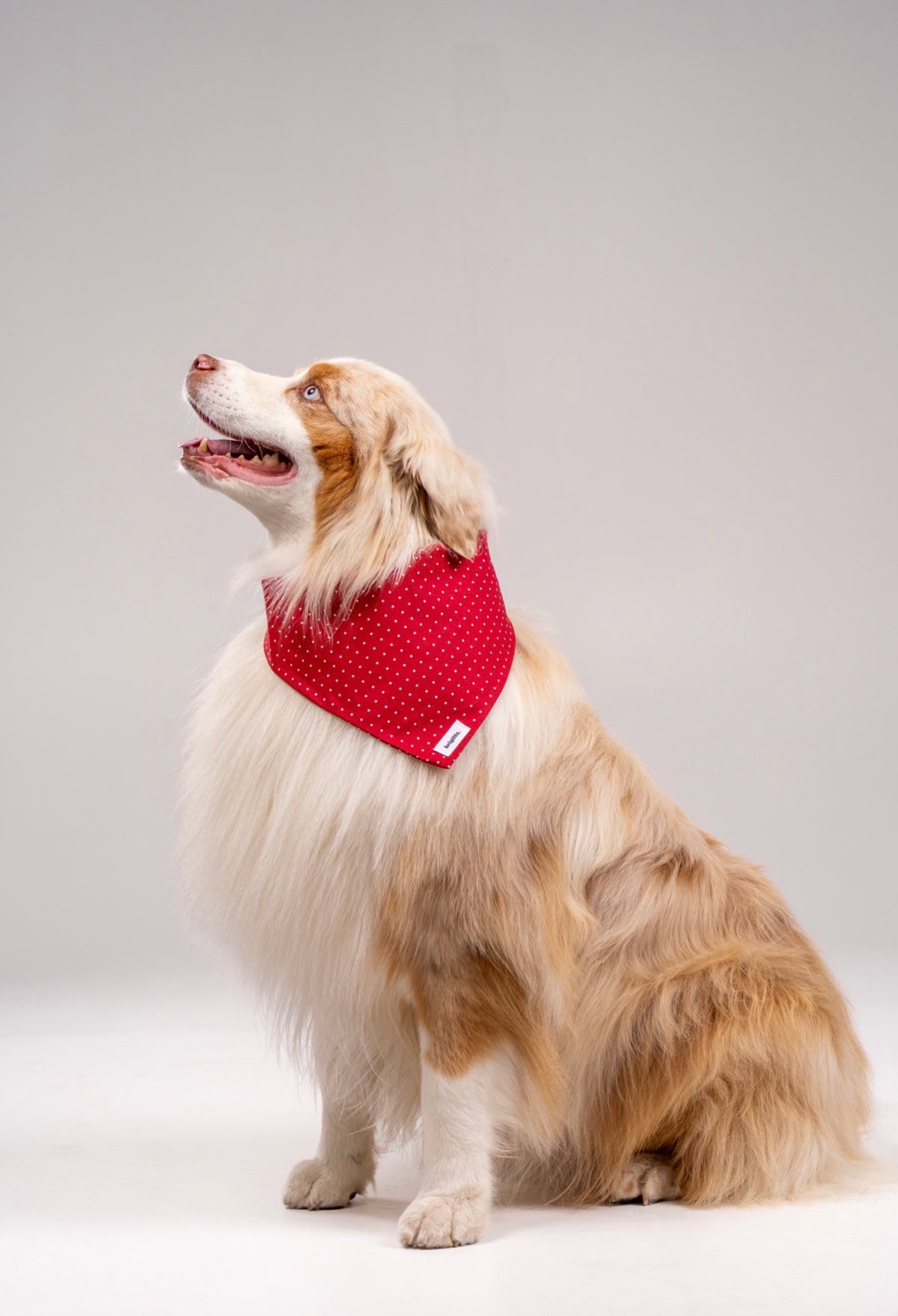 Bandana Cerise