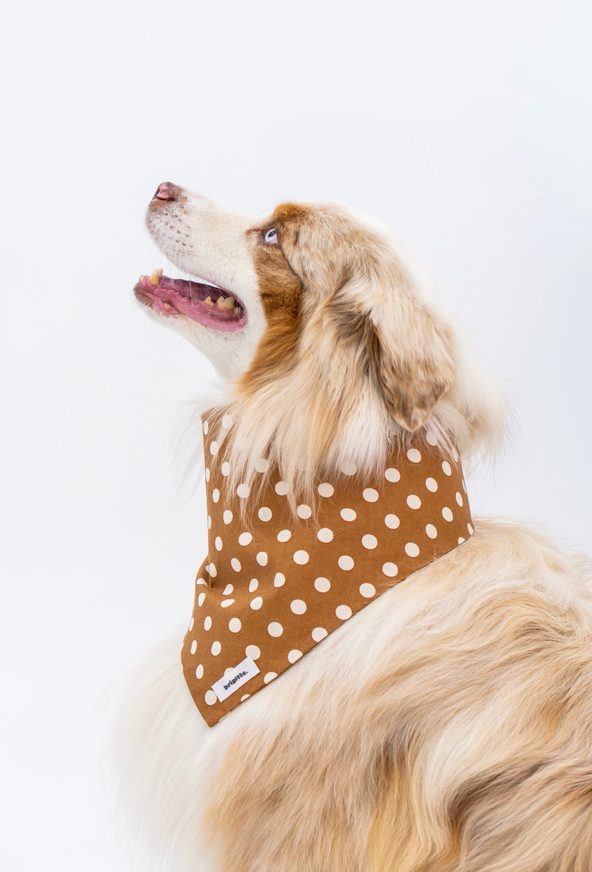 Bandana Camel