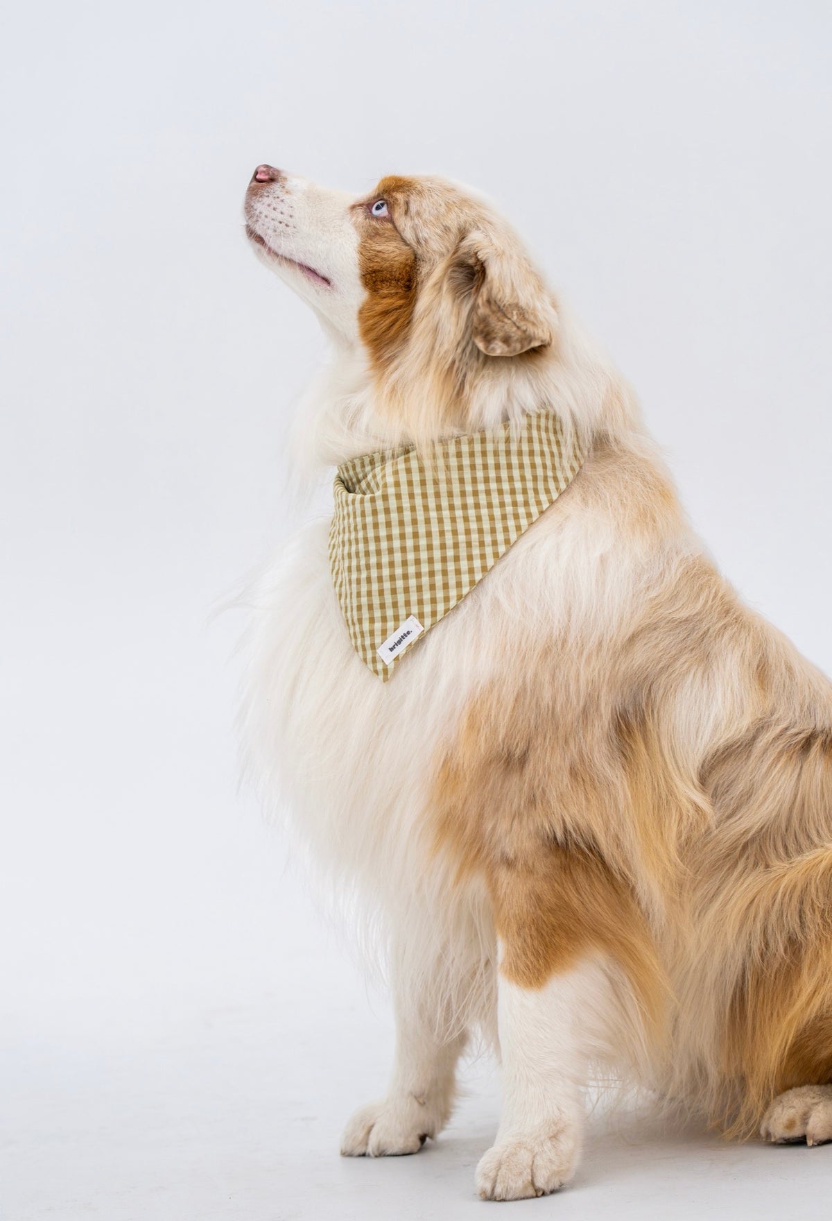 Bandana Canelle