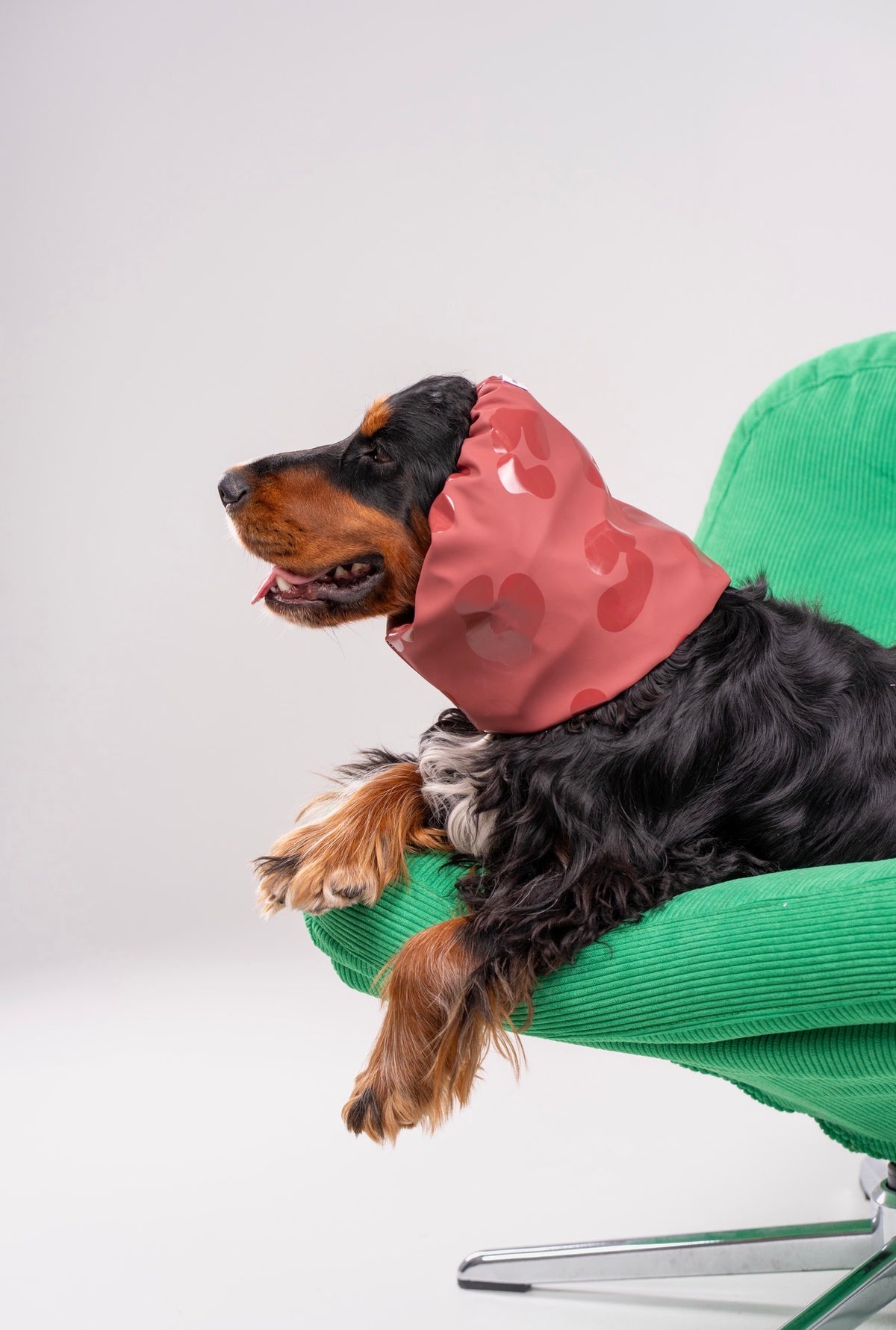 Snood Léopard