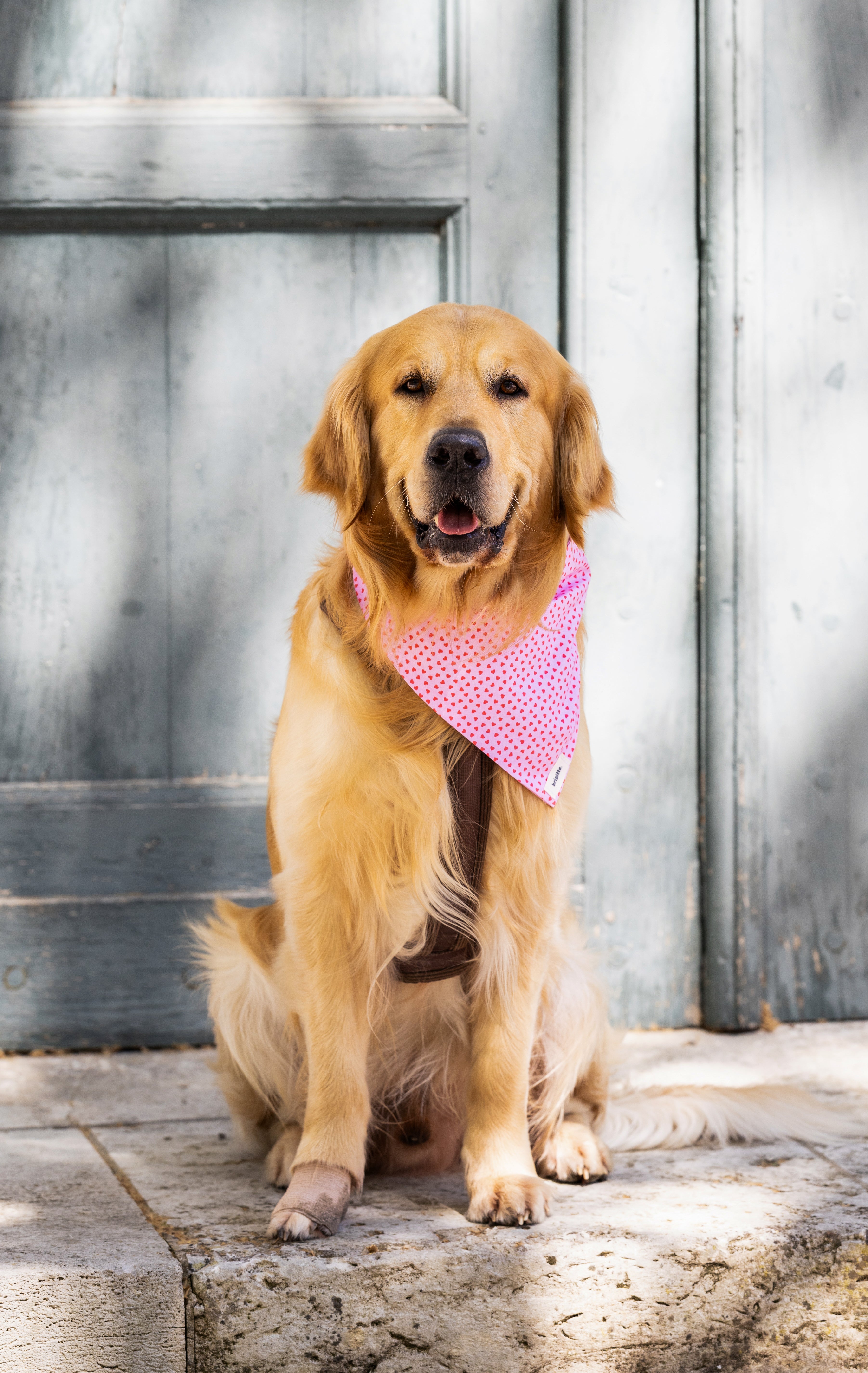 Bandana Anna