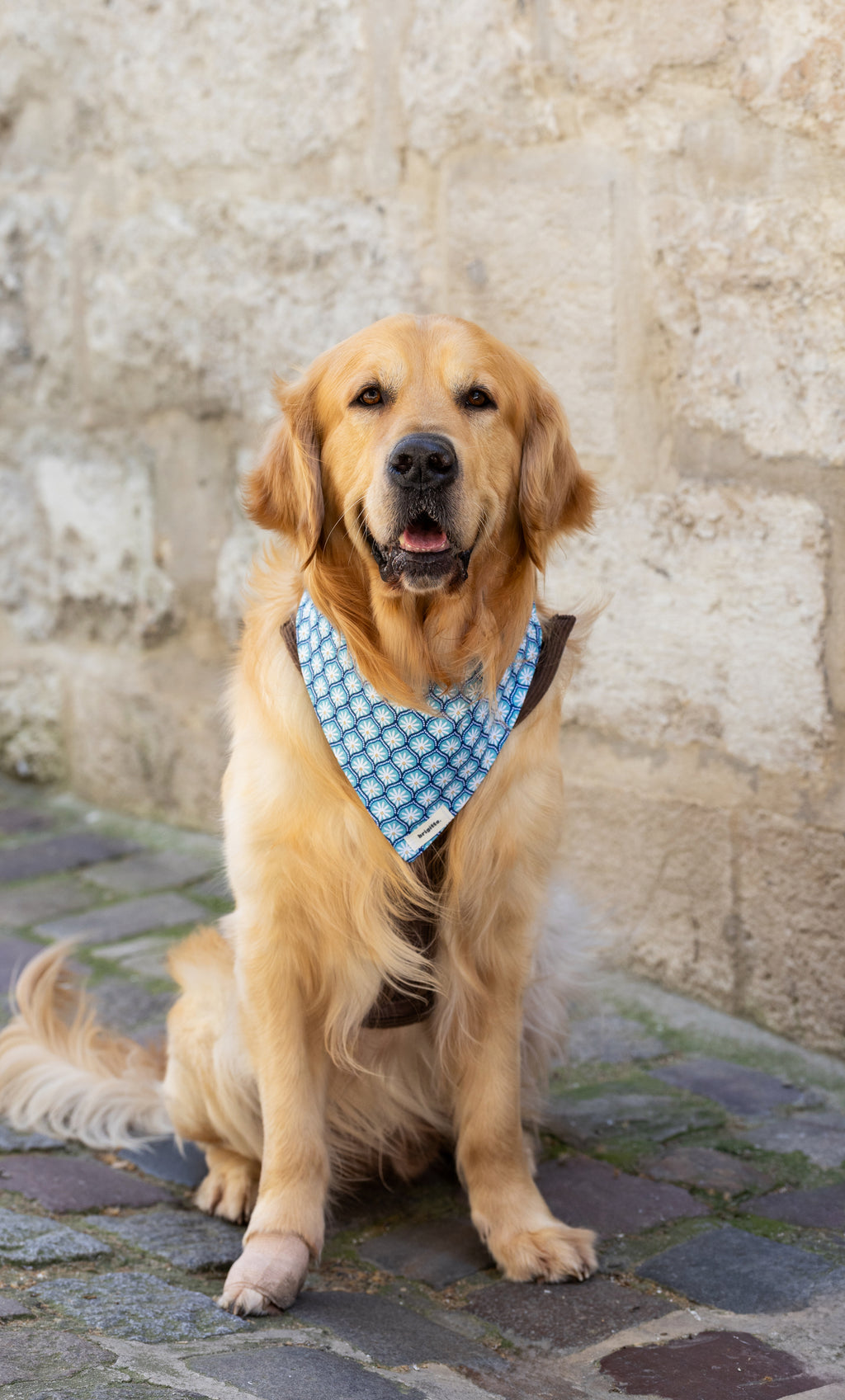 Bandana Sea
