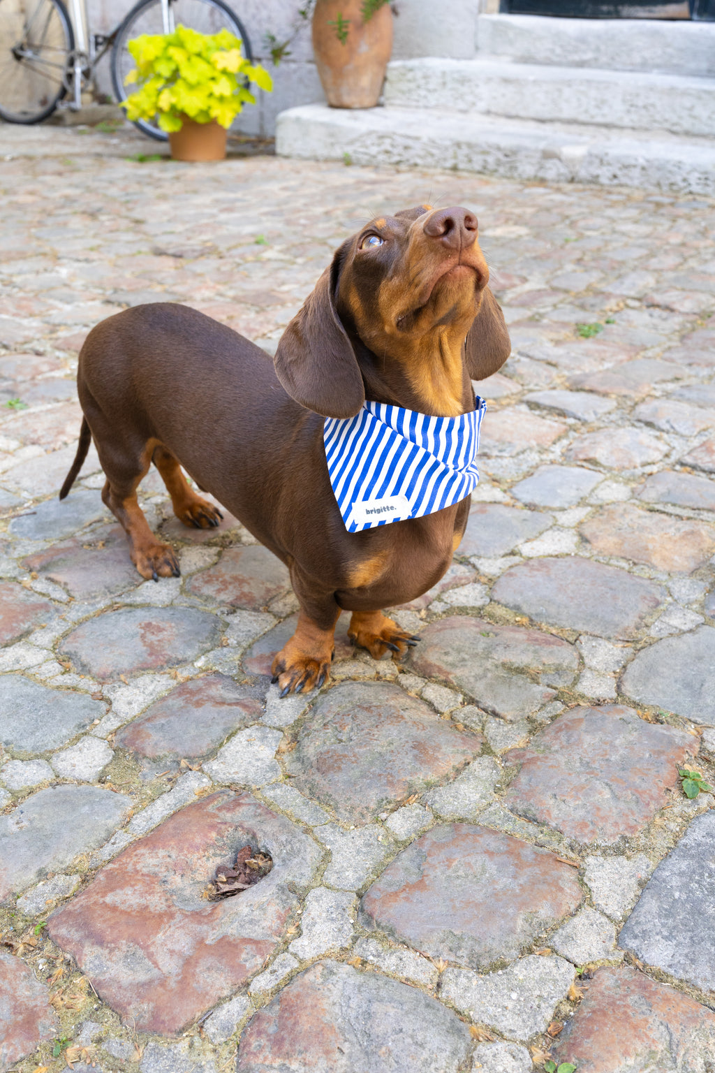 Bandana Côte d’Azur