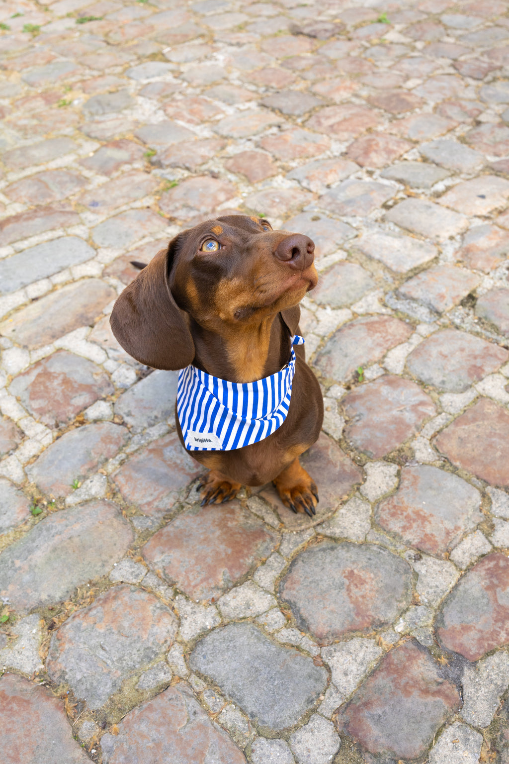 Bandana Côte d’Azur