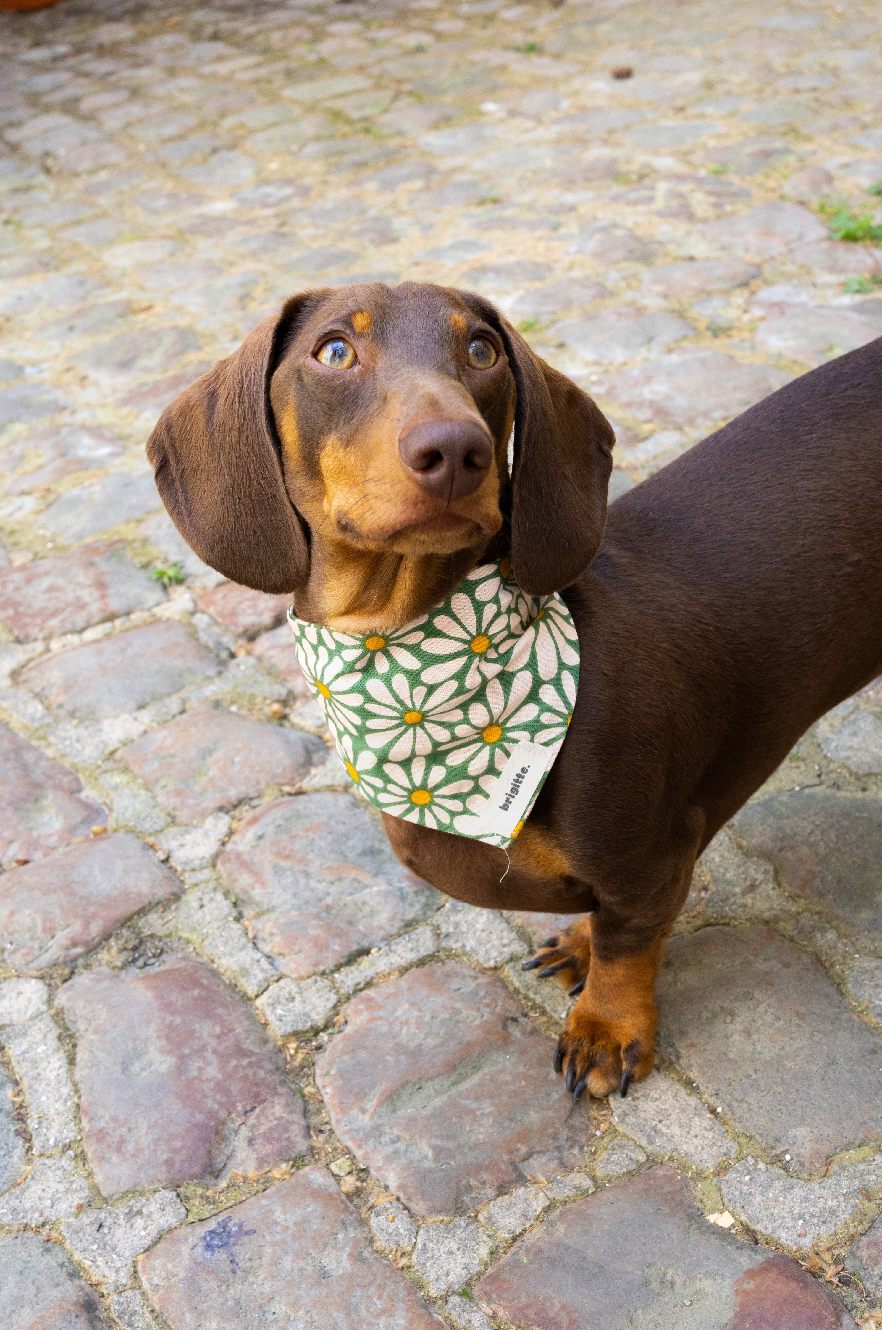 Bandana Green Bloom