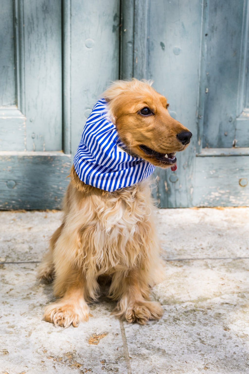 Snood Côte d’Azur