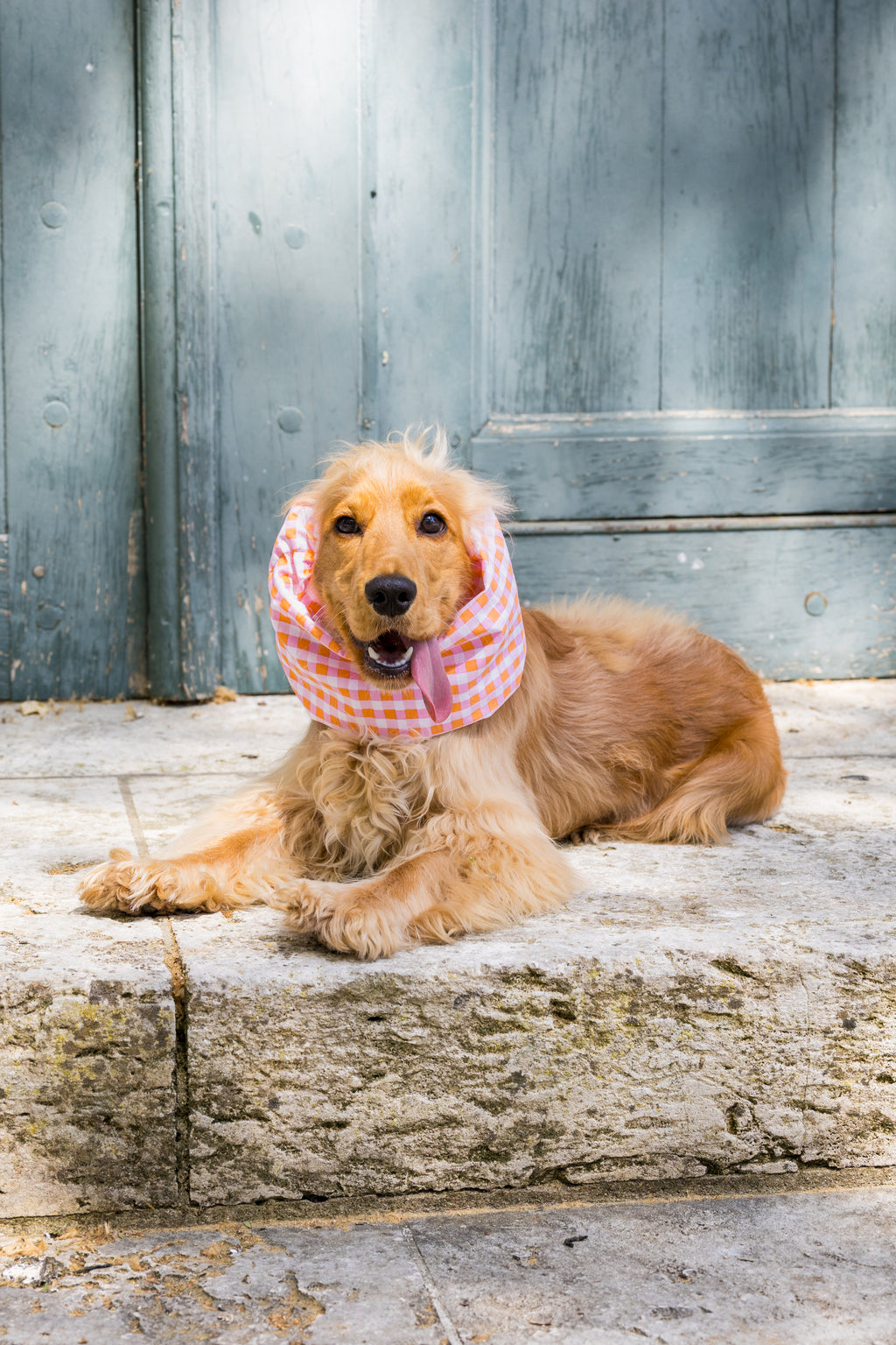 Snood Sunset