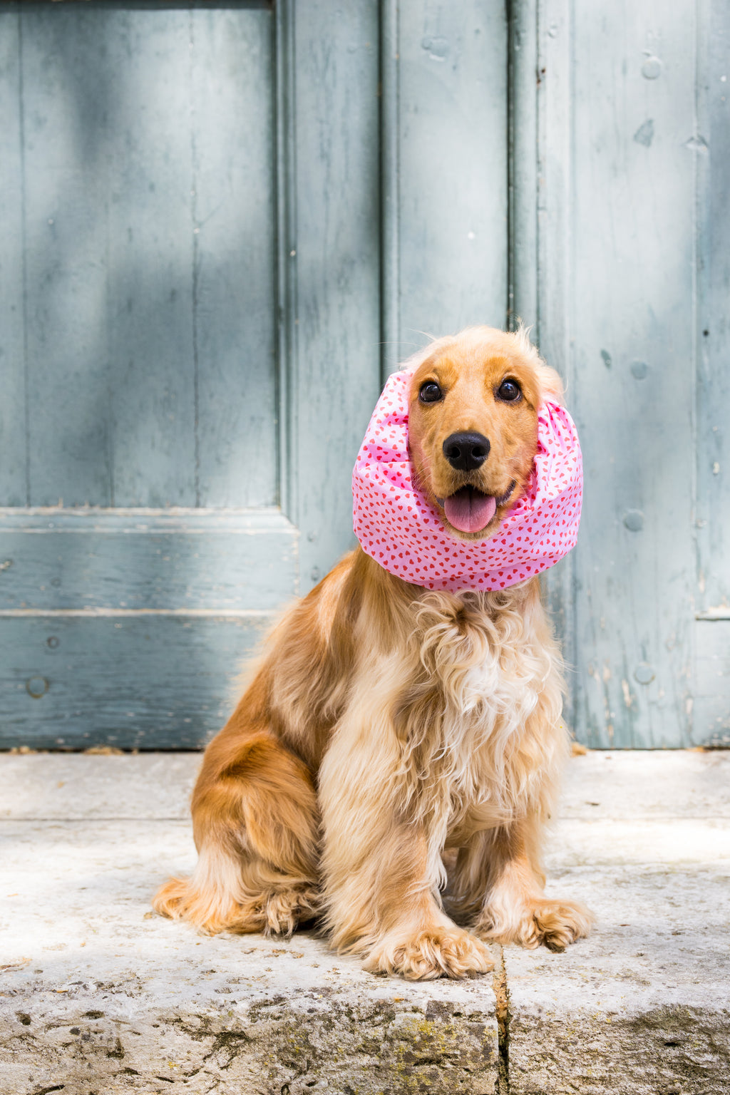 Snood Anna