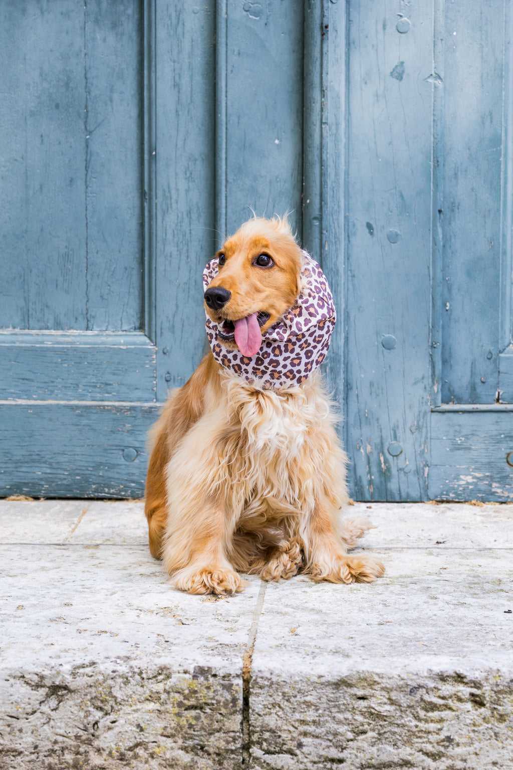 Snood Léopard