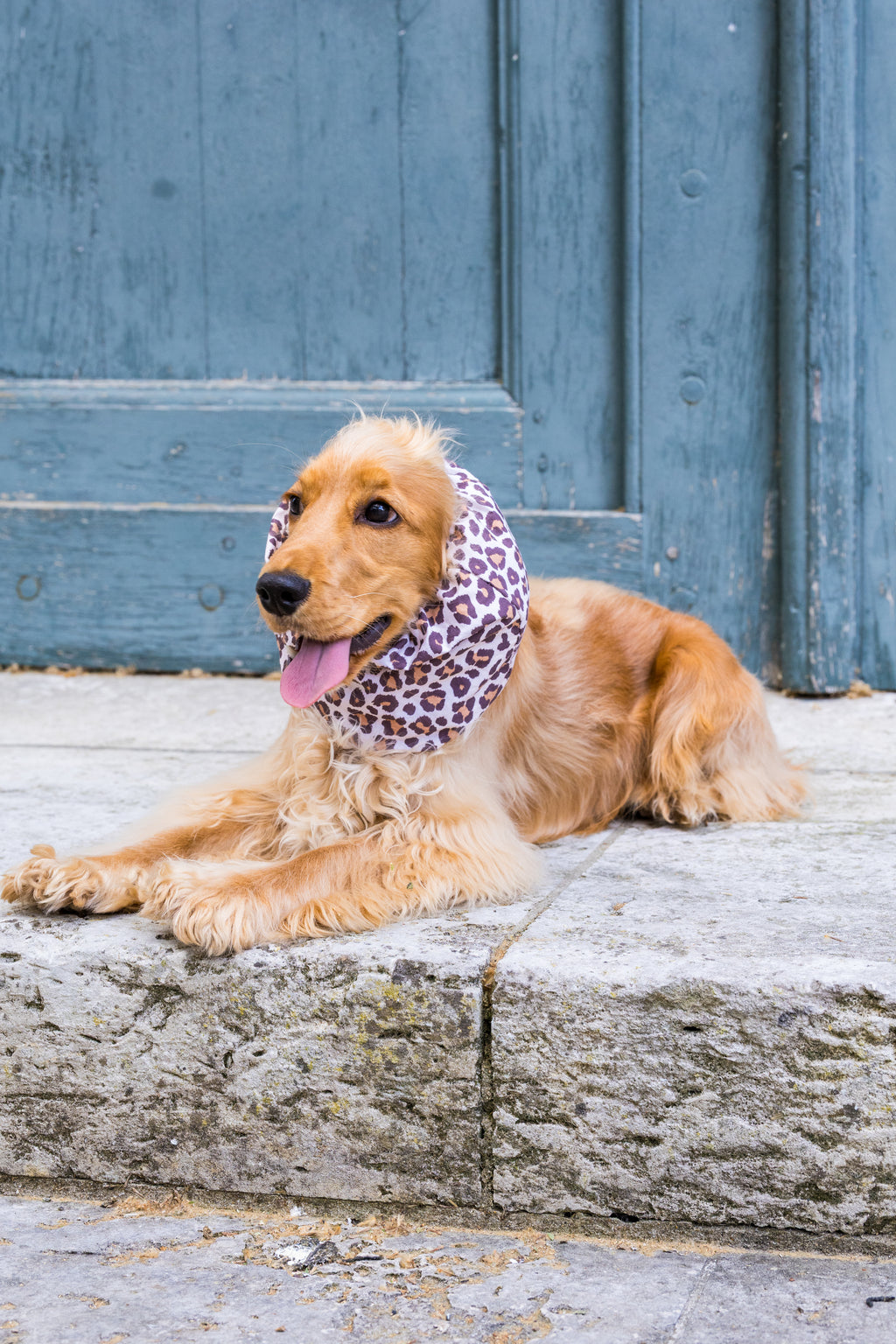 Snood Léopard