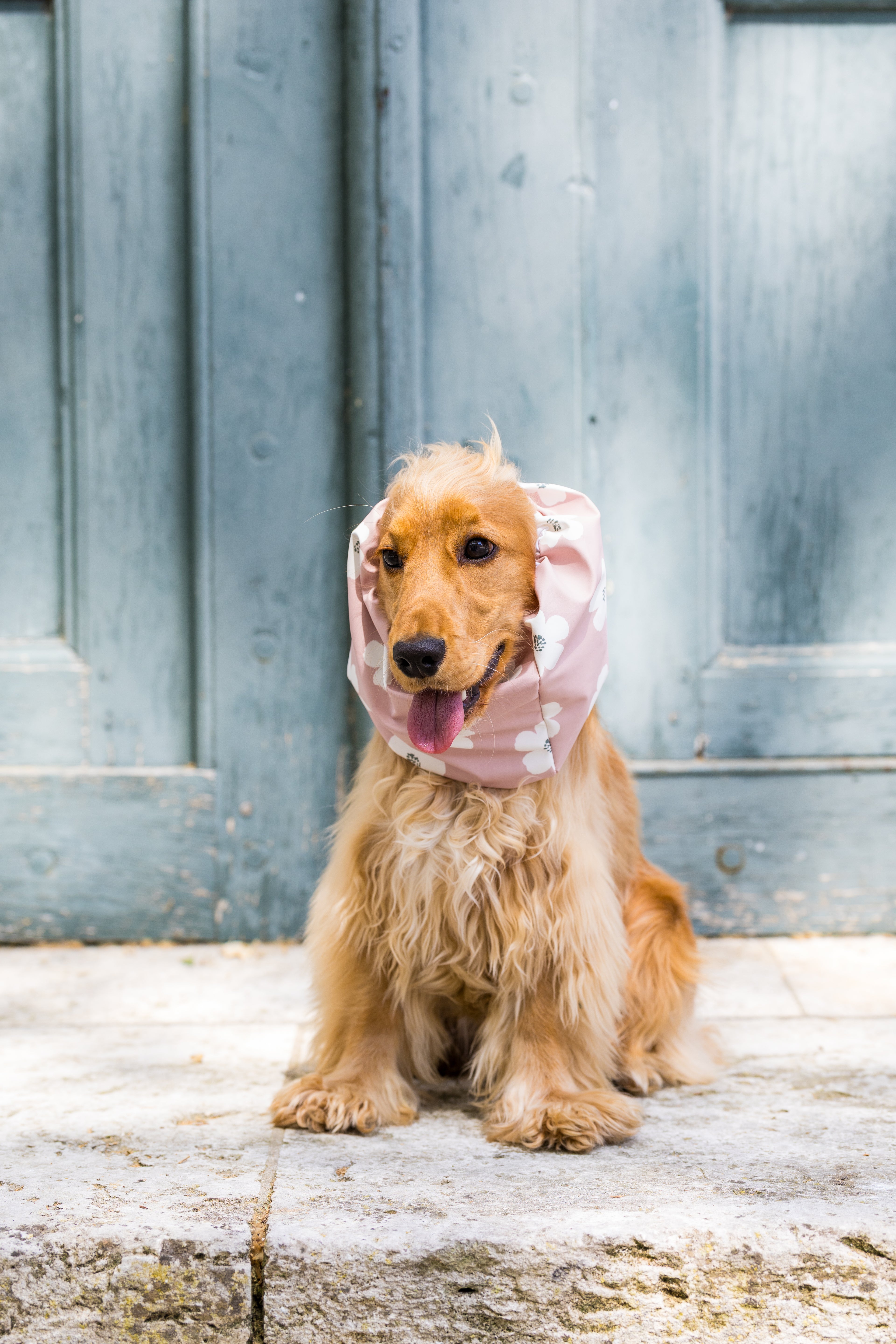 Snood Bloom