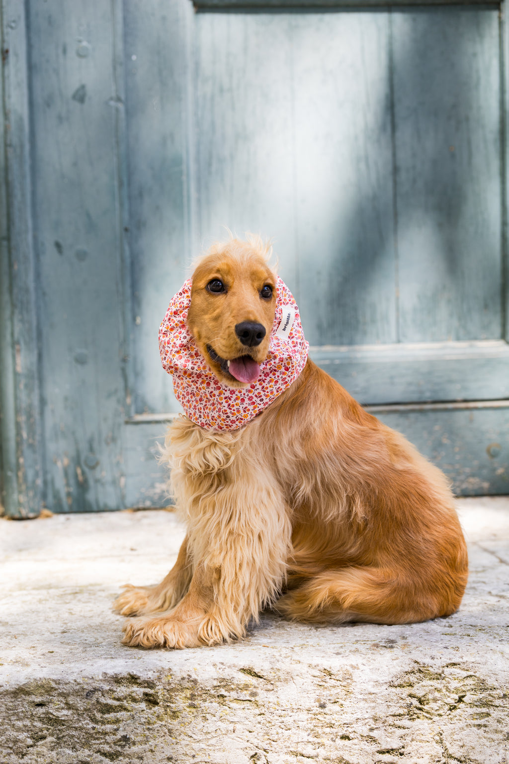 Snood Liberty
