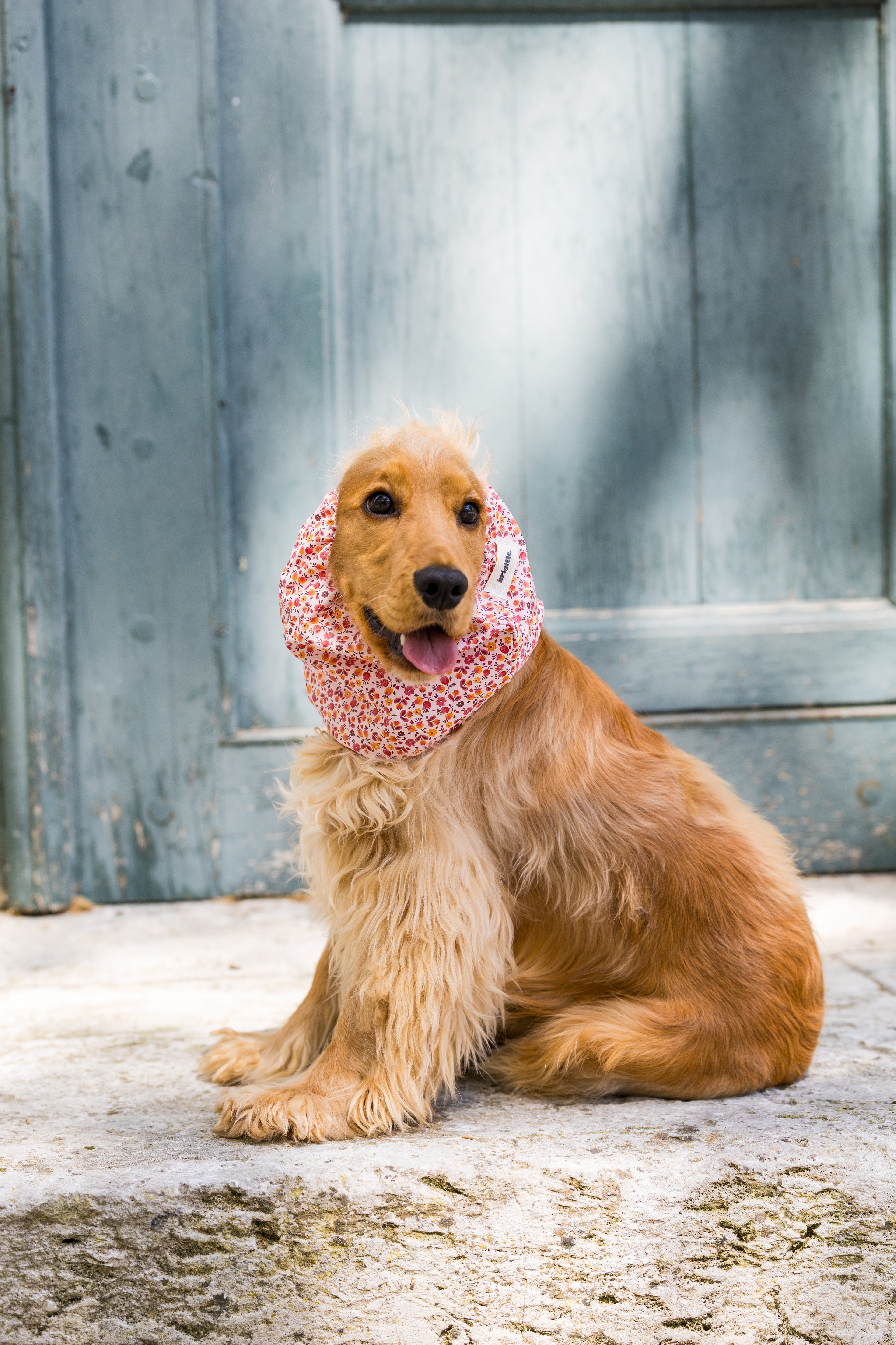 Snood Liberty
