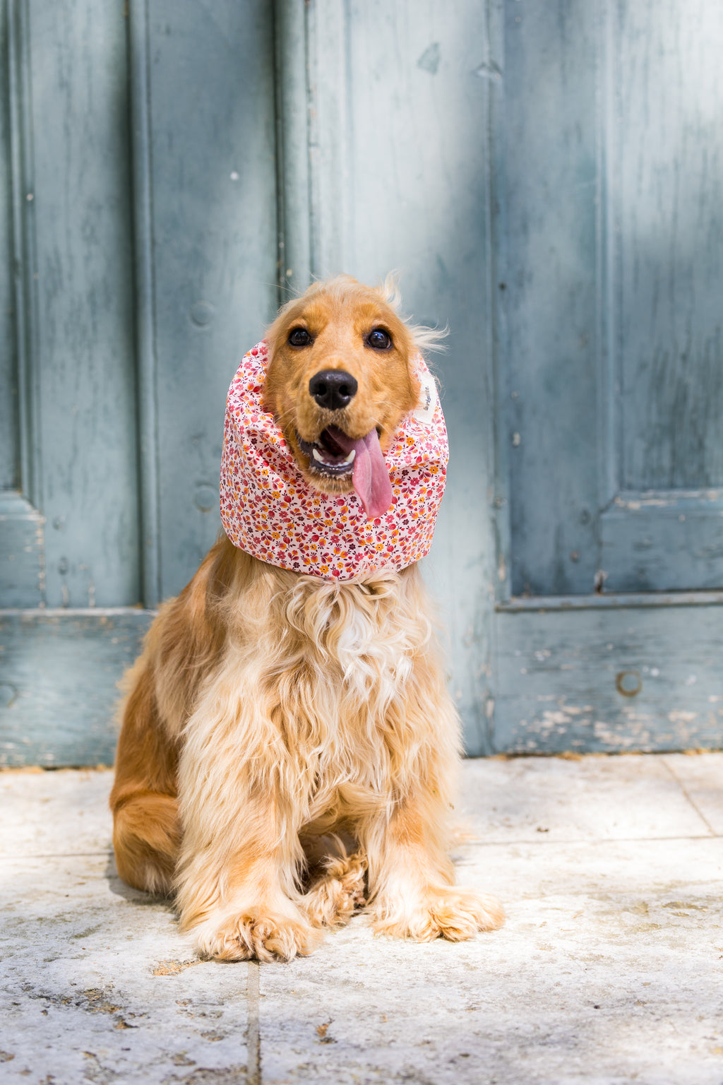 Snood Liberty