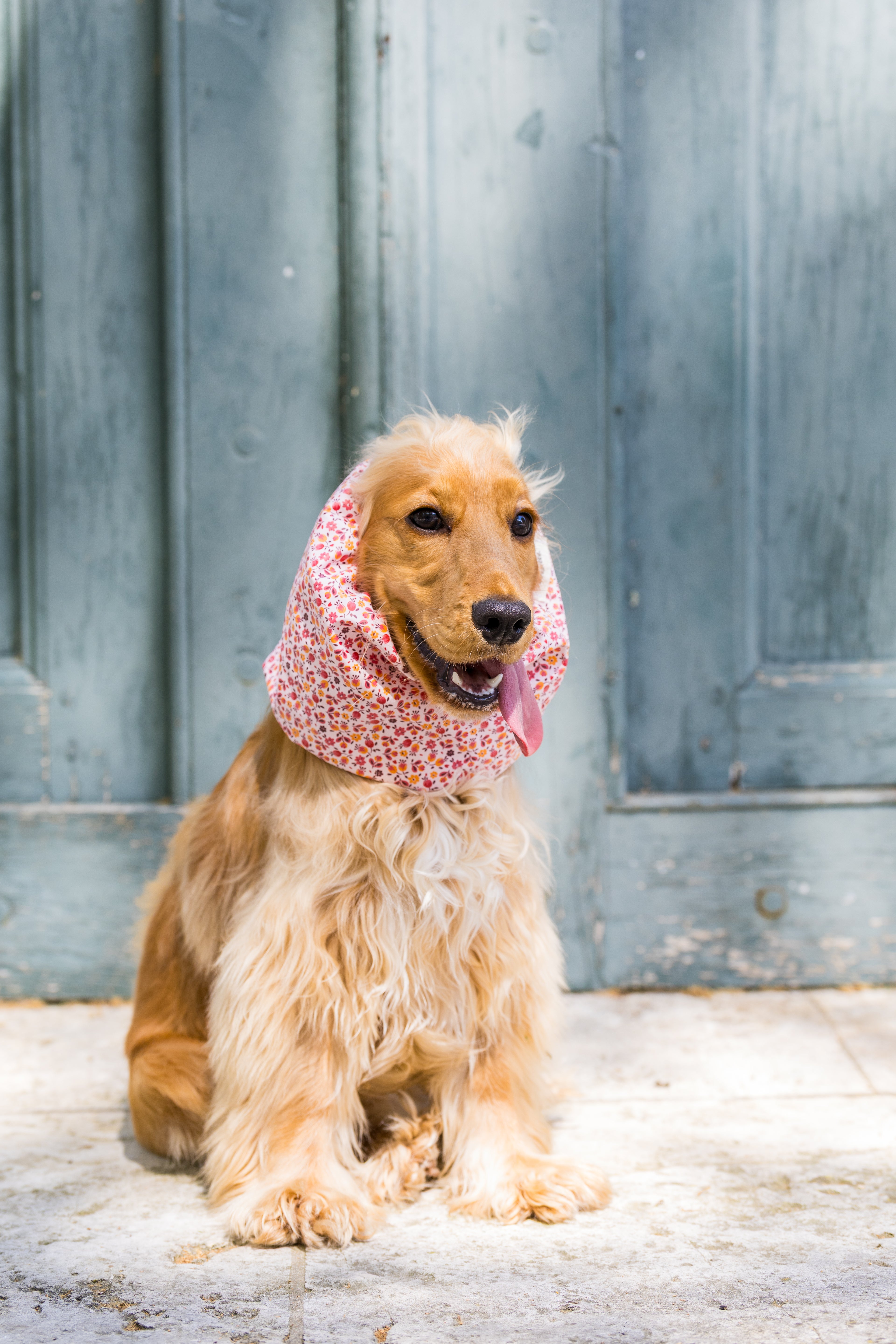Snood Liberty