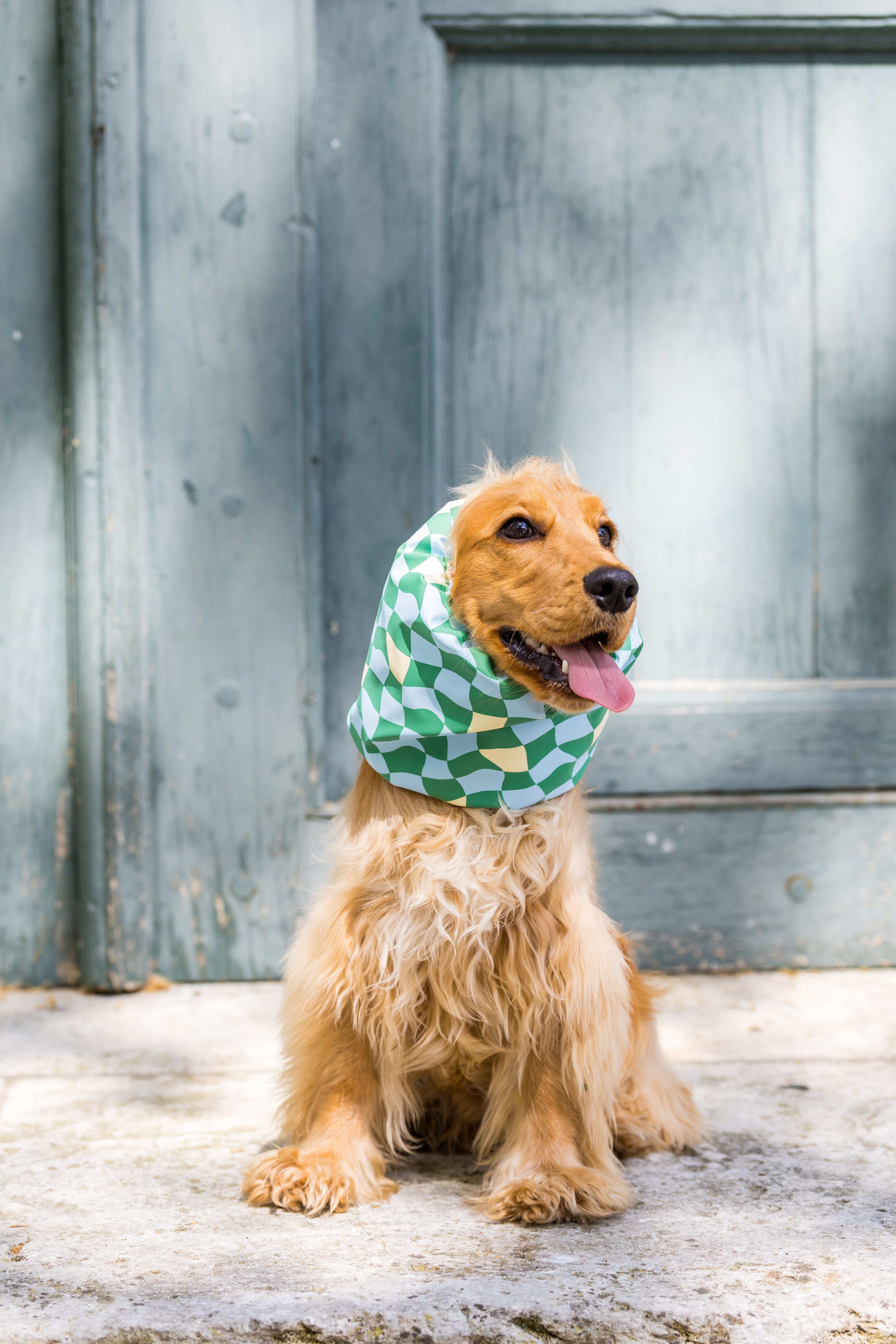 Snood Matcha