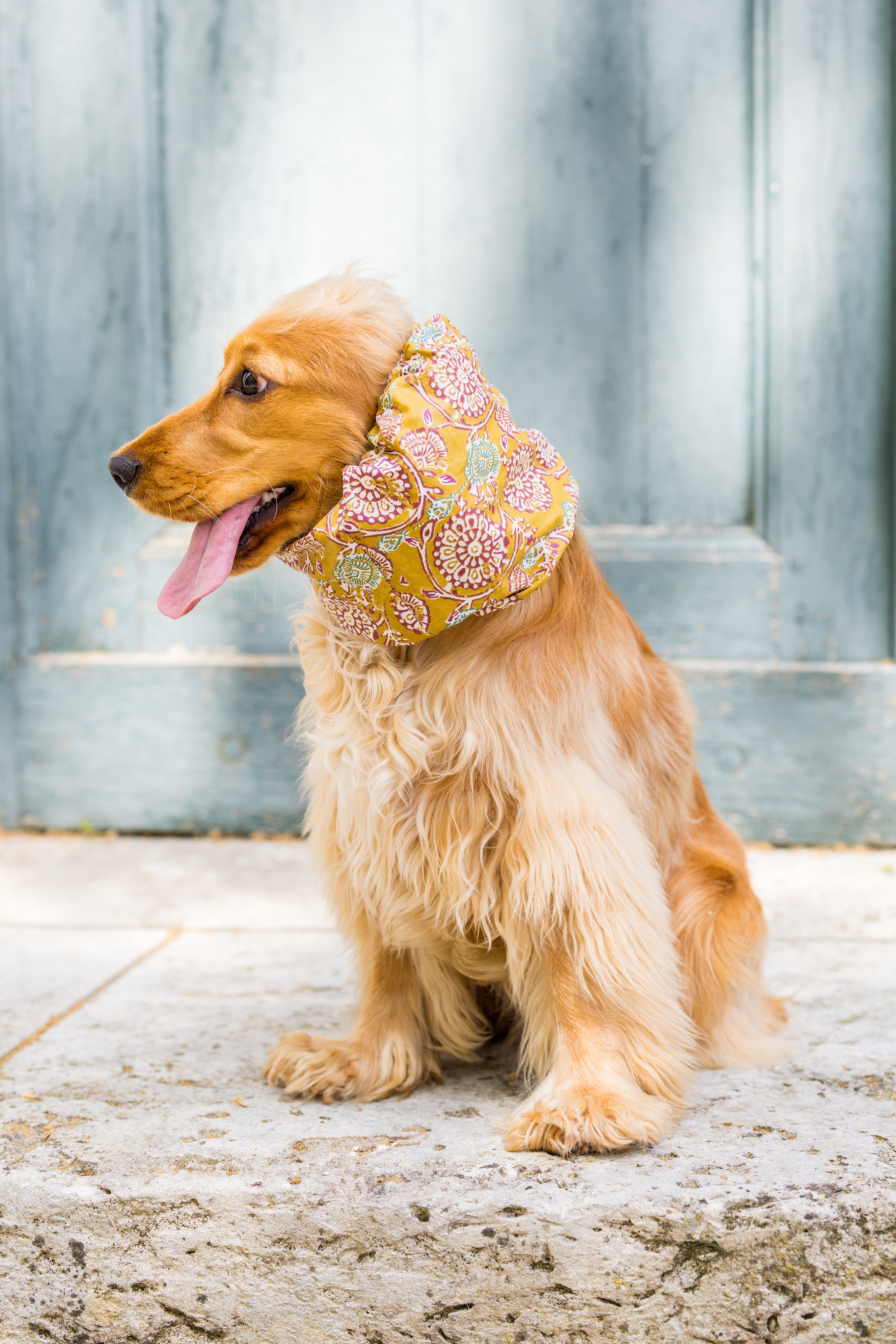 Snood Soleil