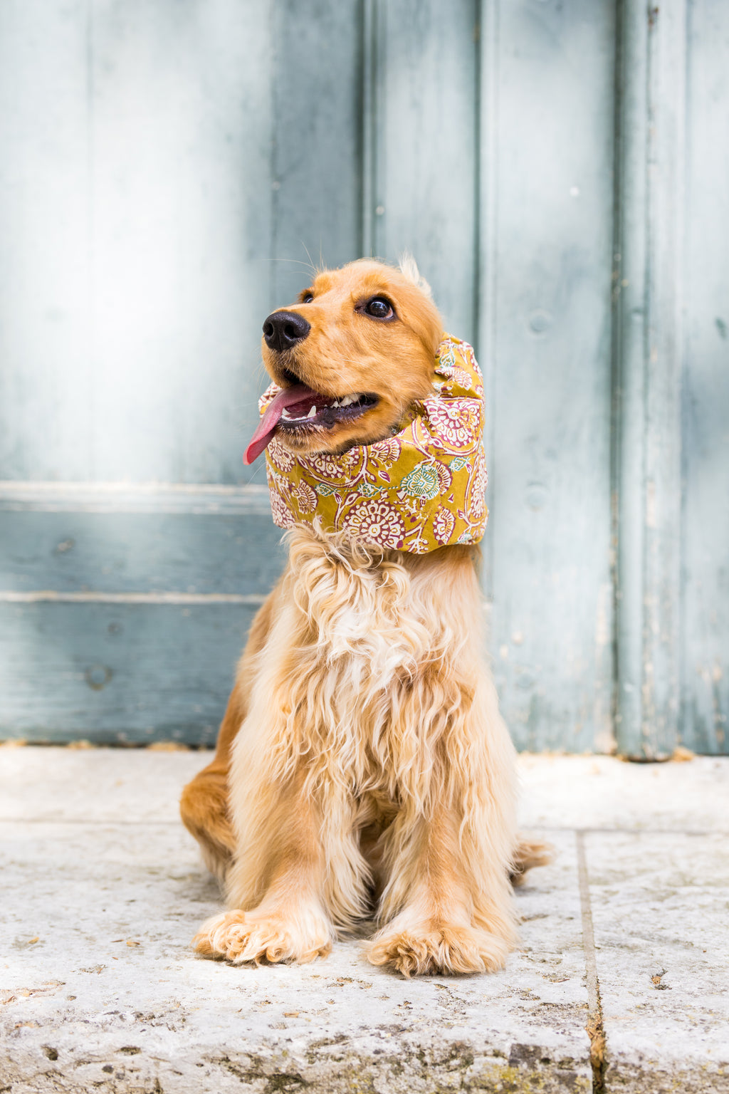 Snood Soleil