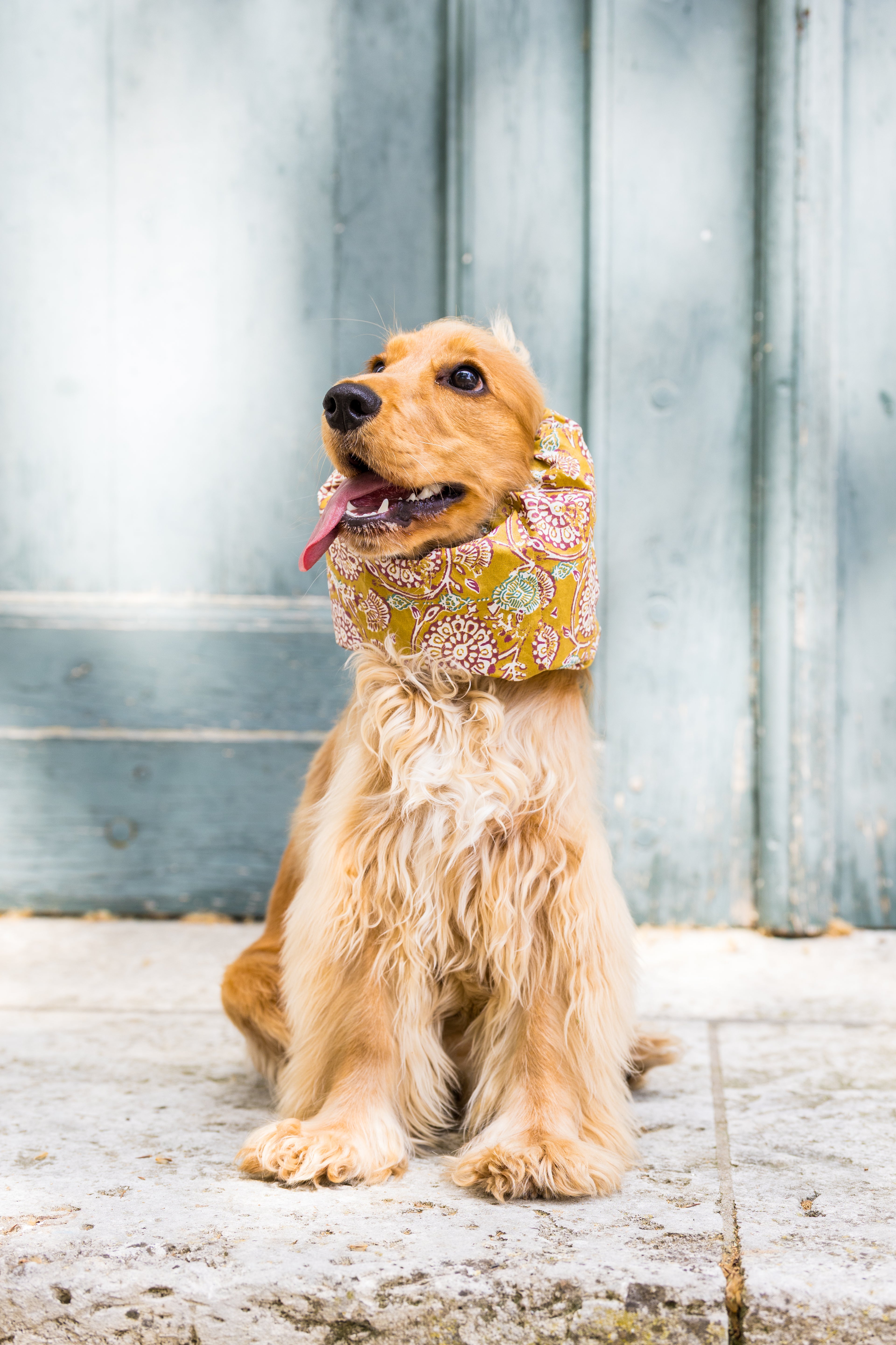 Snood Soleil