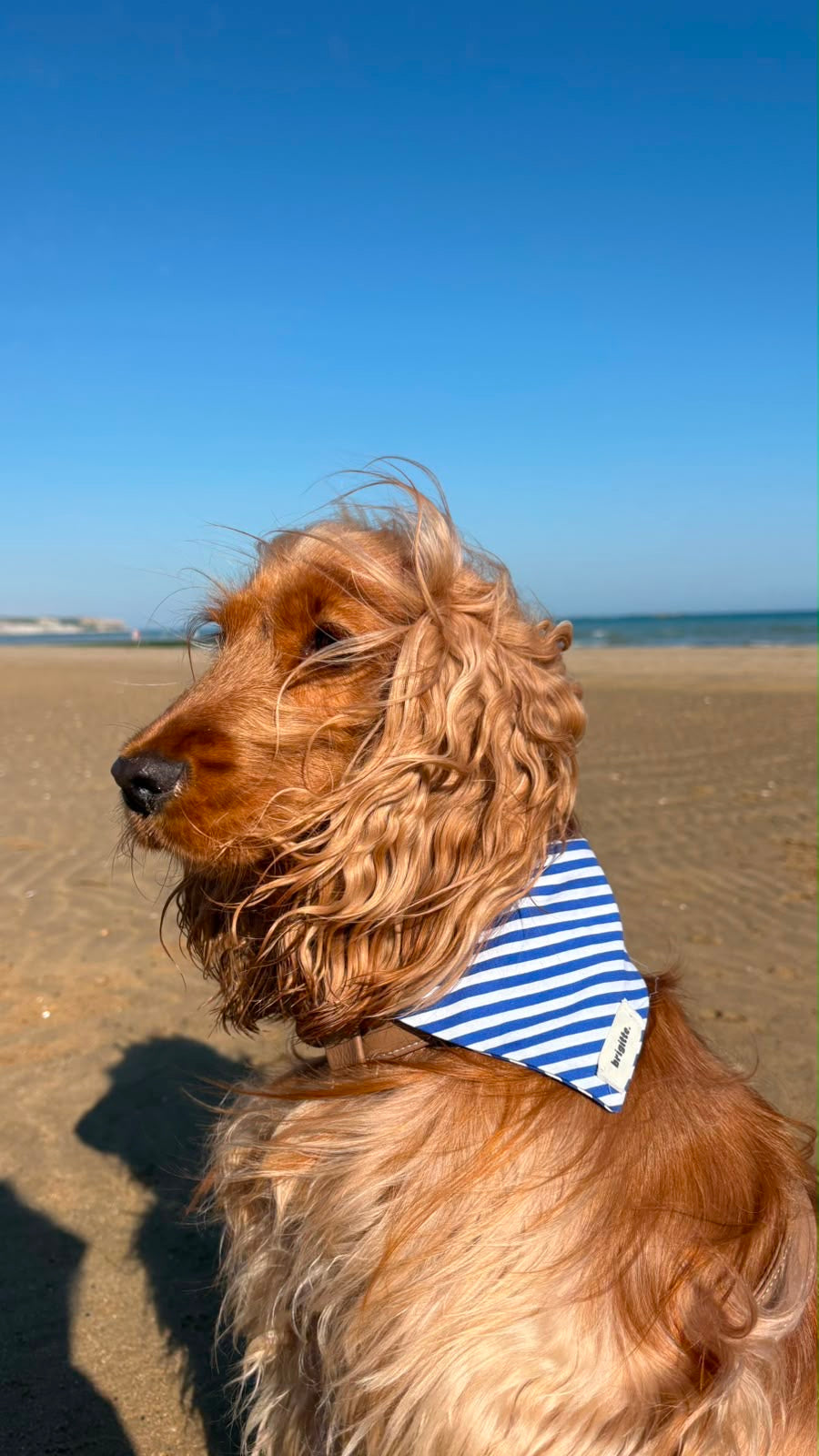 Bandana Azur